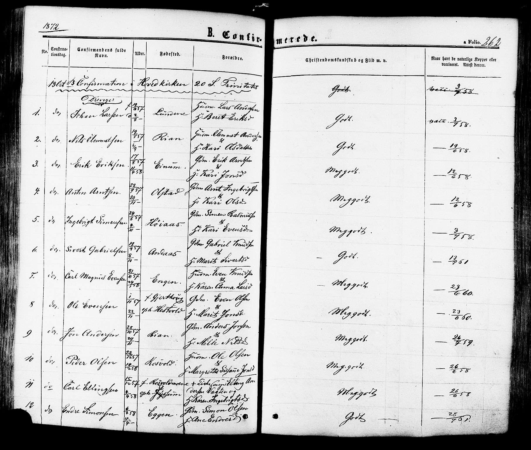 Ministerialprotokoller, klokkerbøker og fødselsregistre - Sør-Trøndelag, AV/SAT-A-1456/665/L0772: Parish register (official) no. 665A07, 1856-1878, p. 262