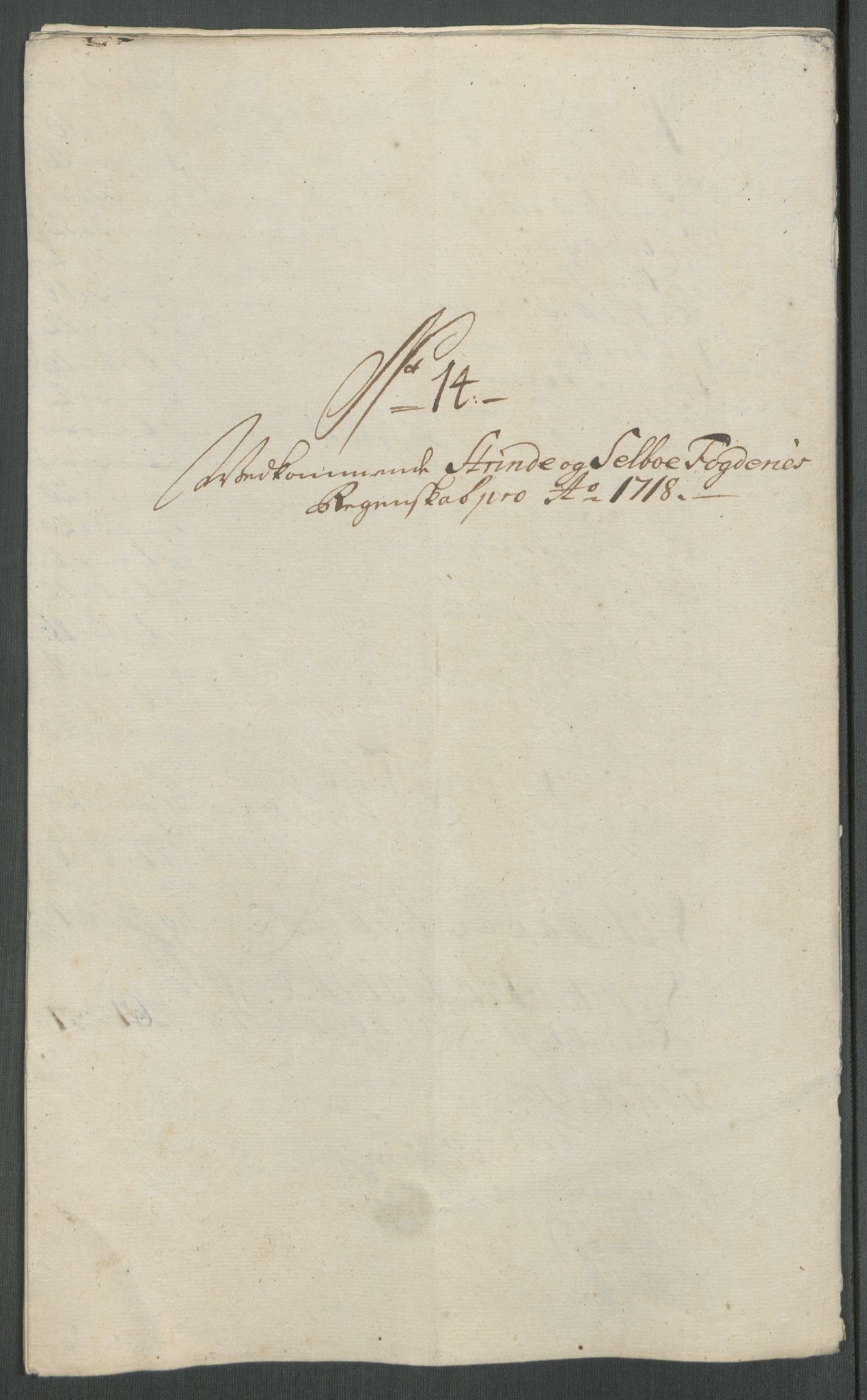 Rentekammeret inntil 1814, Reviderte regnskaper, Fogderegnskap, AV/RA-EA-4092/R61/L4116: Fogderegnskap Strinda og Selbu, 1717-1718, p. 438