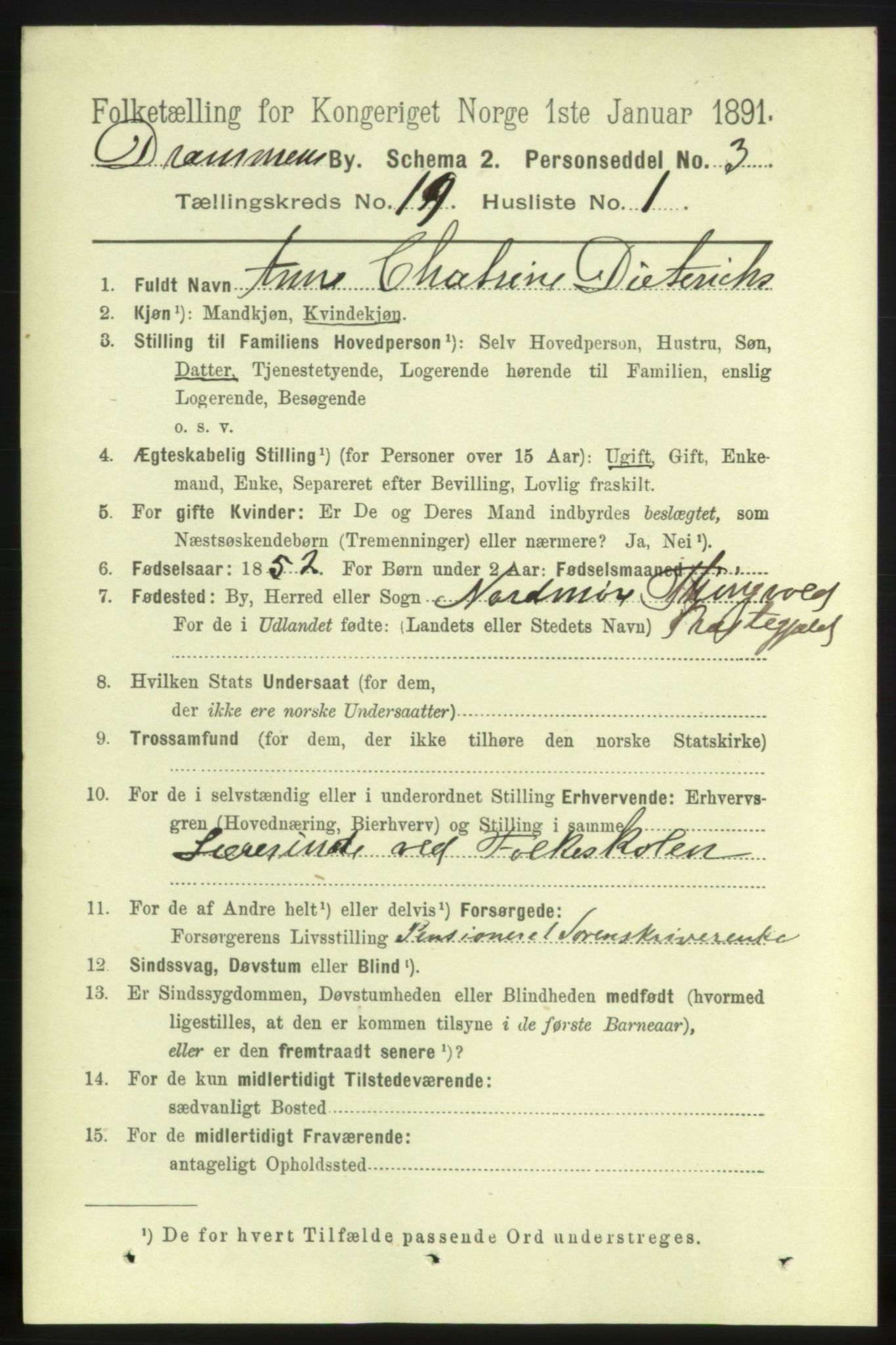 RA, 1891 census for 0602 Drammen, 1891, p. 12005