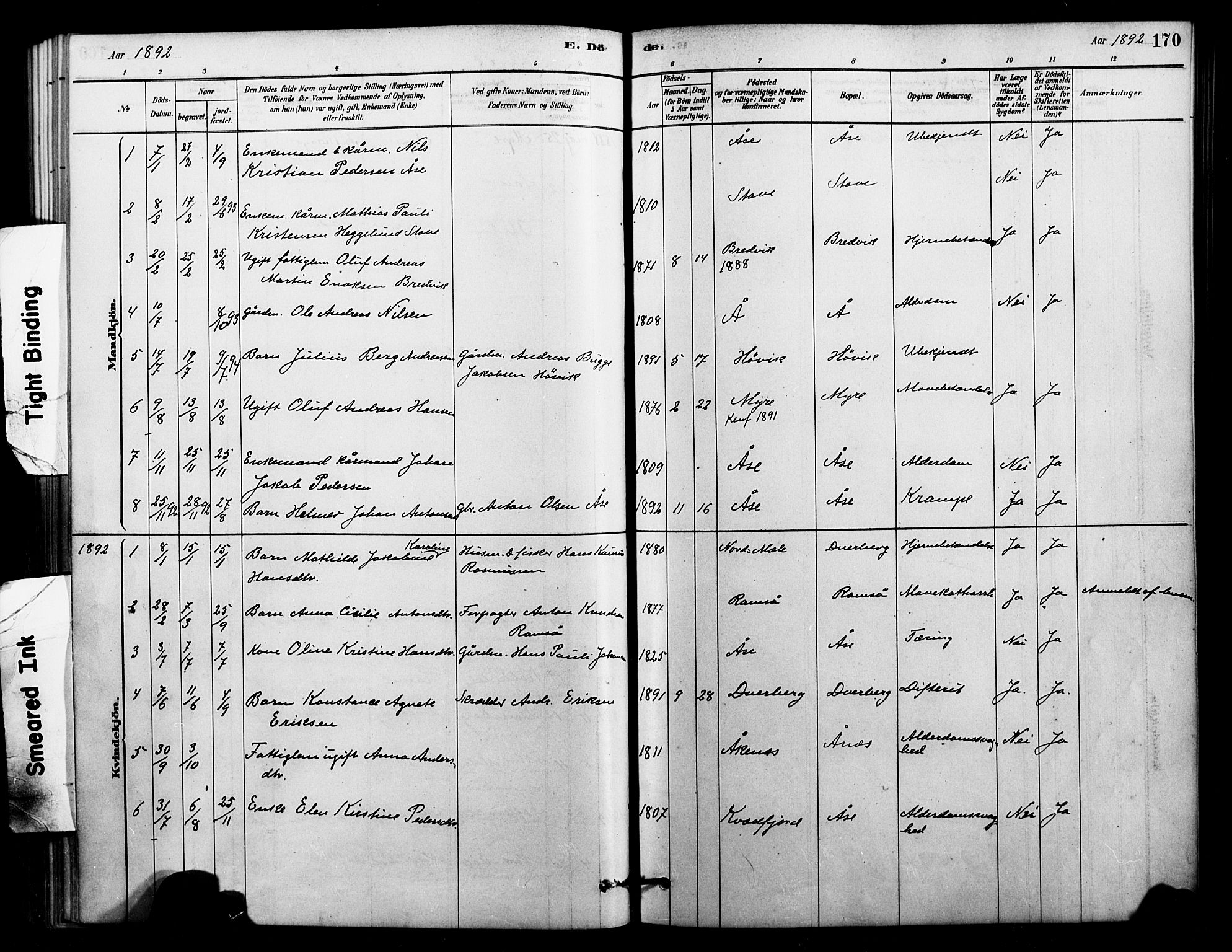 Ministerialprotokoller, klokkerbøker og fødselsregistre - Nordland, AV/SAT-A-1459/897/L1399: Parish register (official) no. 897C06, 1881-1896, p. 170