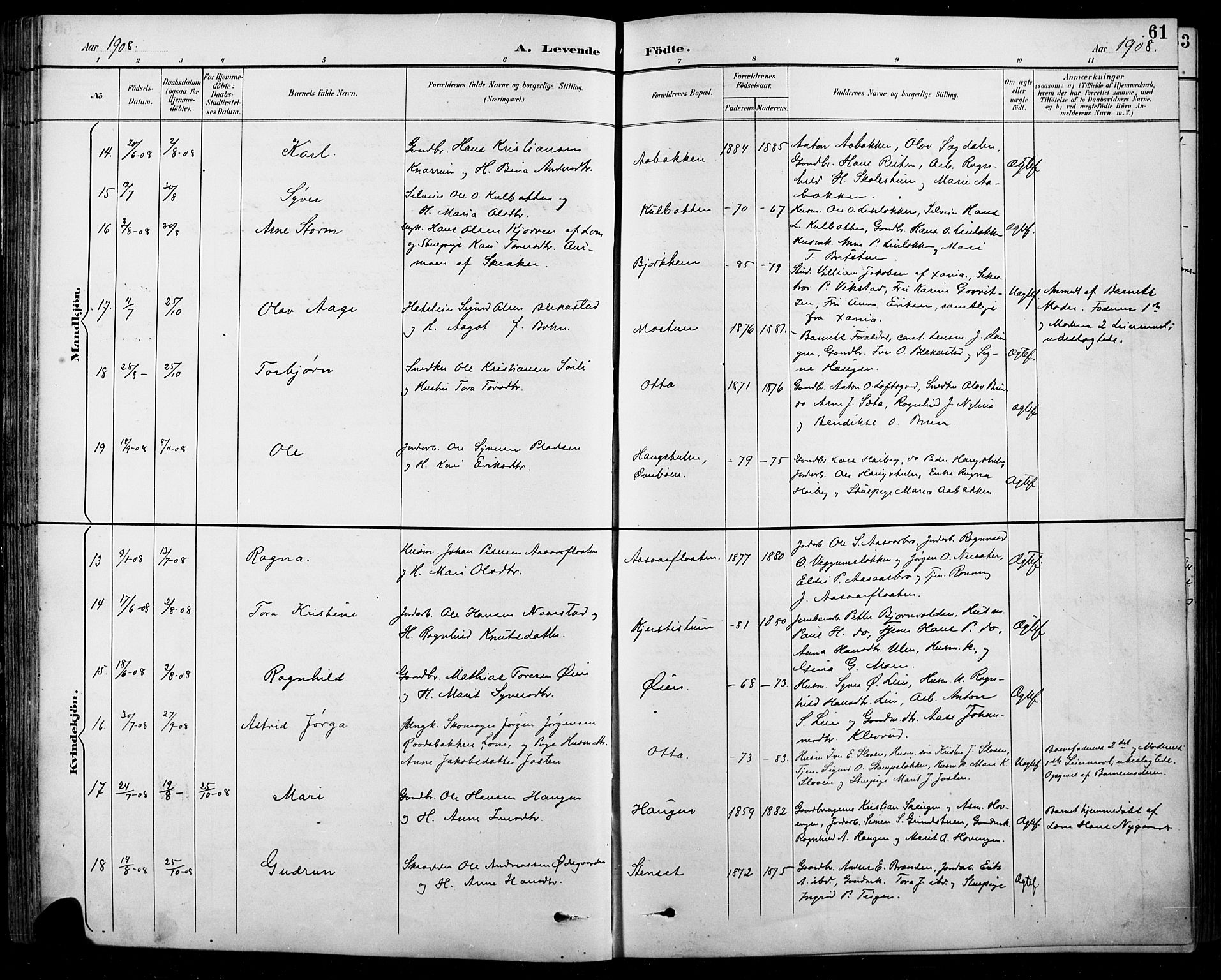 Sel prestekontor, SAH/PREST-074/H/Ha/Hab/L0001: Parish register (copy) no. 1, 1894-1923, p. 61