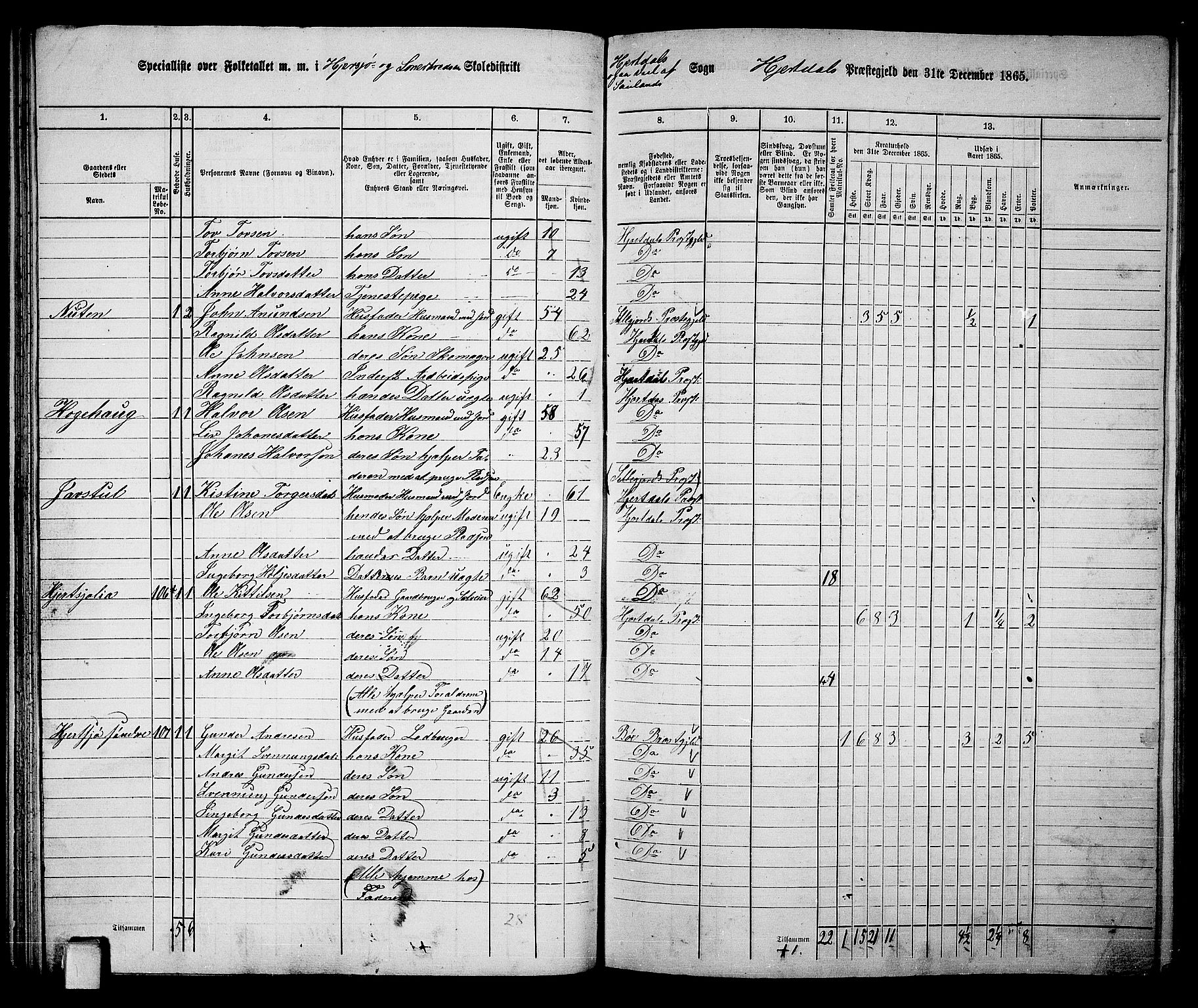 RA, 1865 census for Hjartdal, 1865, p. 53