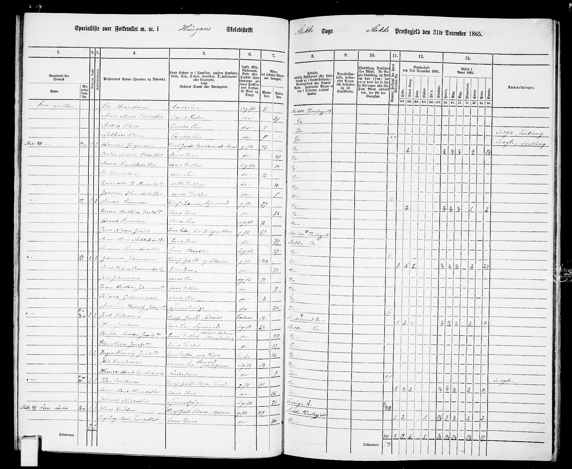 RA, 1865 census for Stokke, 1865, p. 82