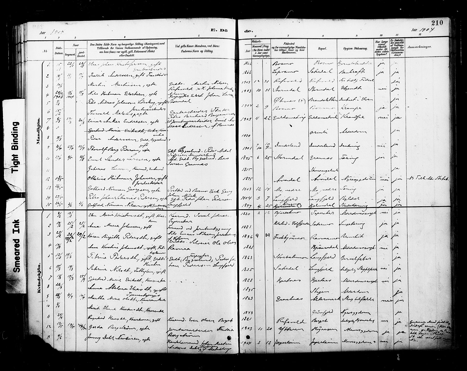 Ministerialprotokoller, klokkerbøker og fødselsregistre - Nordland, AV/SAT-A-1459/827/L0401: Parish register (official) no. 827A13, 1887-1905, p. 210