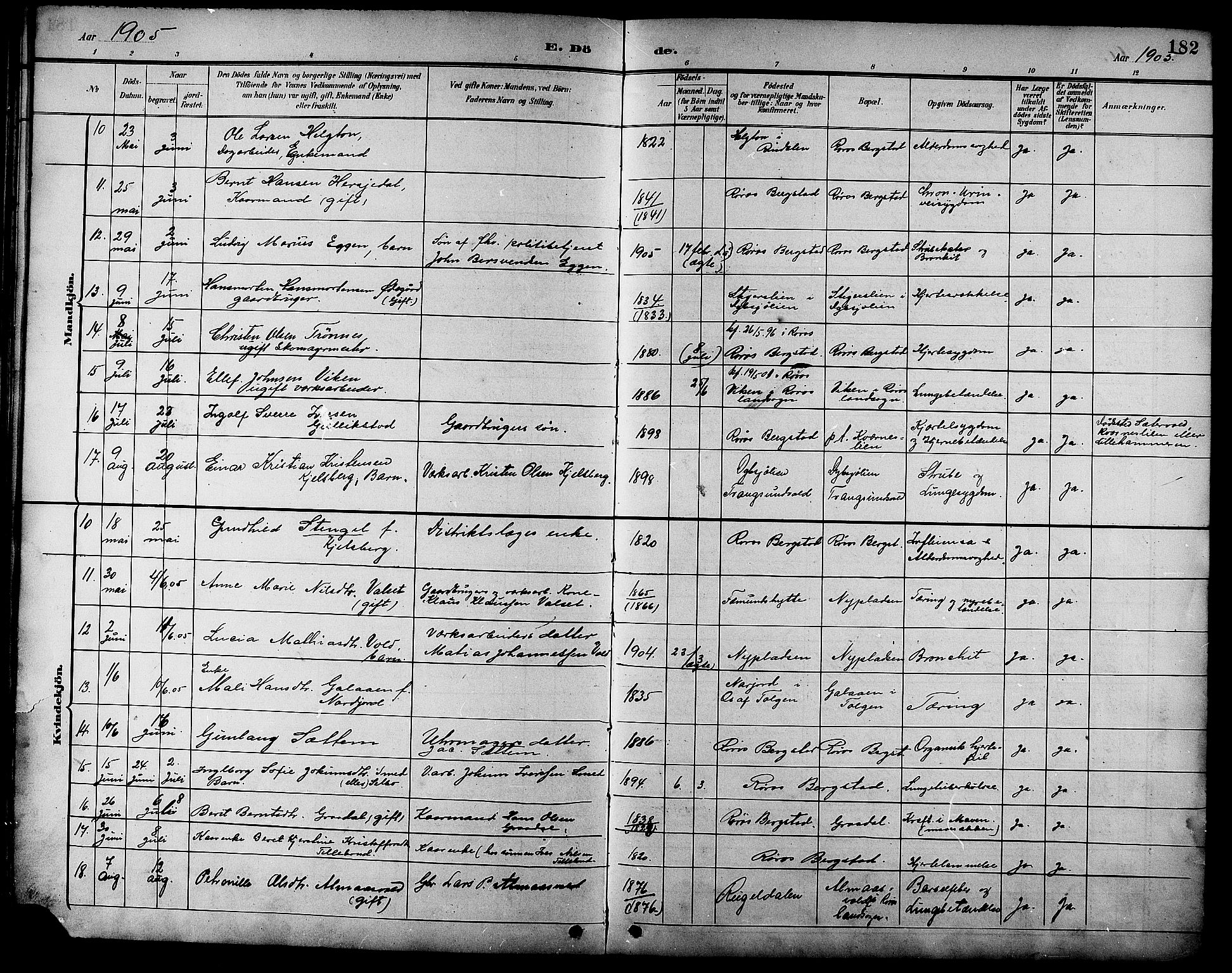 Ministerialprotokoller, klokkerbøker og fødselsregistre - Sør-Trøndelag, SAT/A-1456/681/L0941: Parish register (copy) no. 681C05, 1896-1905, p. 182