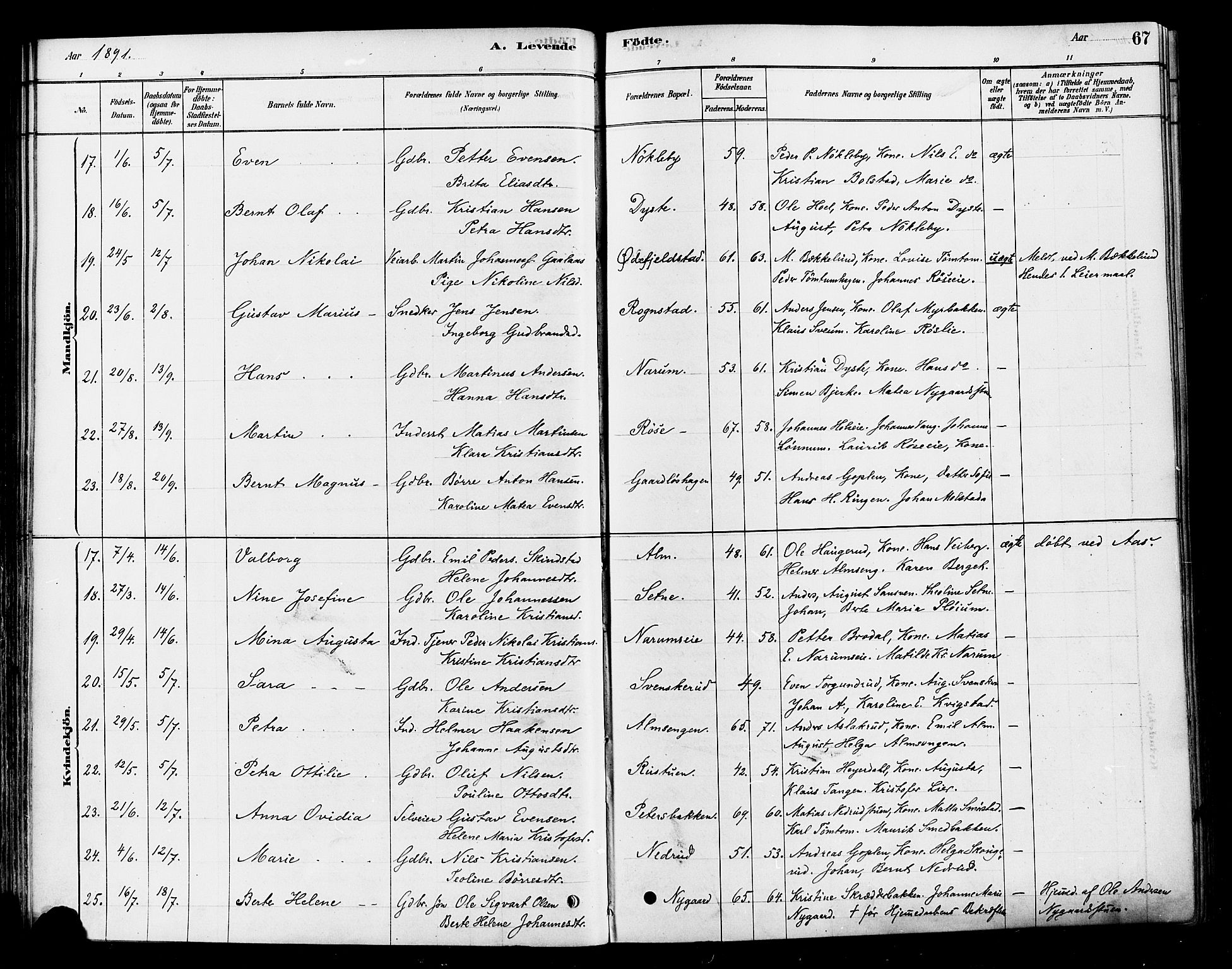 Vestre Toten prestekontor, AV/SAH-PREST-108/H/Ha/Haa/L0010: Parish register (official) no. 10, 1878-1894, p. 67