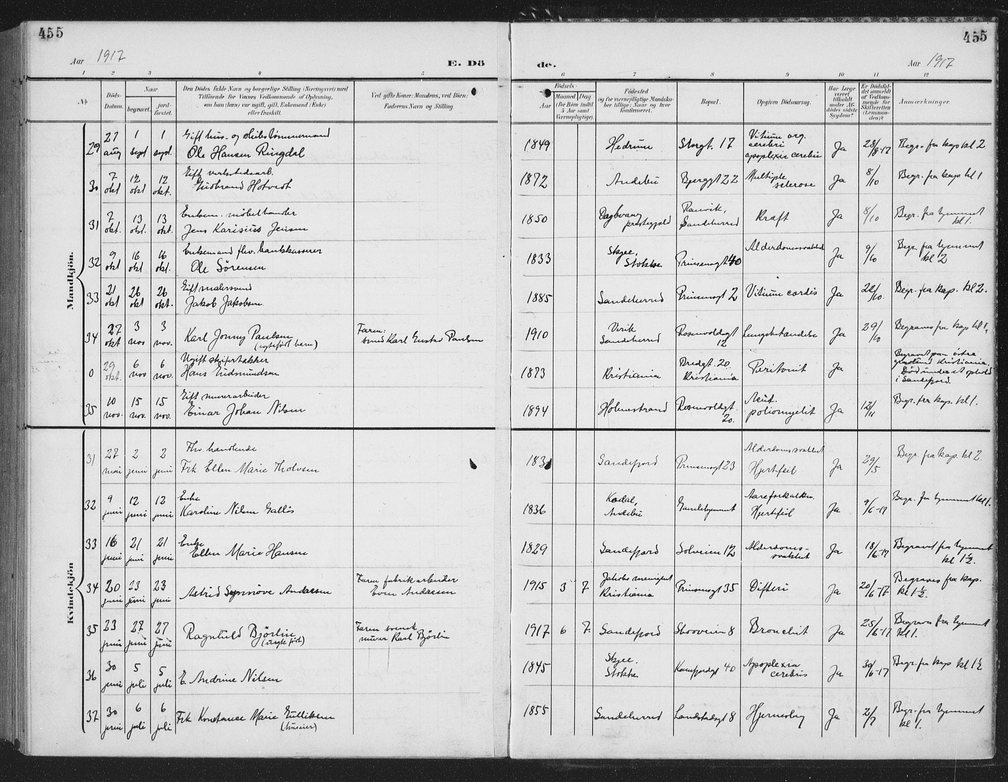 Sandefjord kirkebøker, AV/SAKO-A-315/G/Ga/L0003: Parish register (copy) no. 3, 1903-1920, p. 455