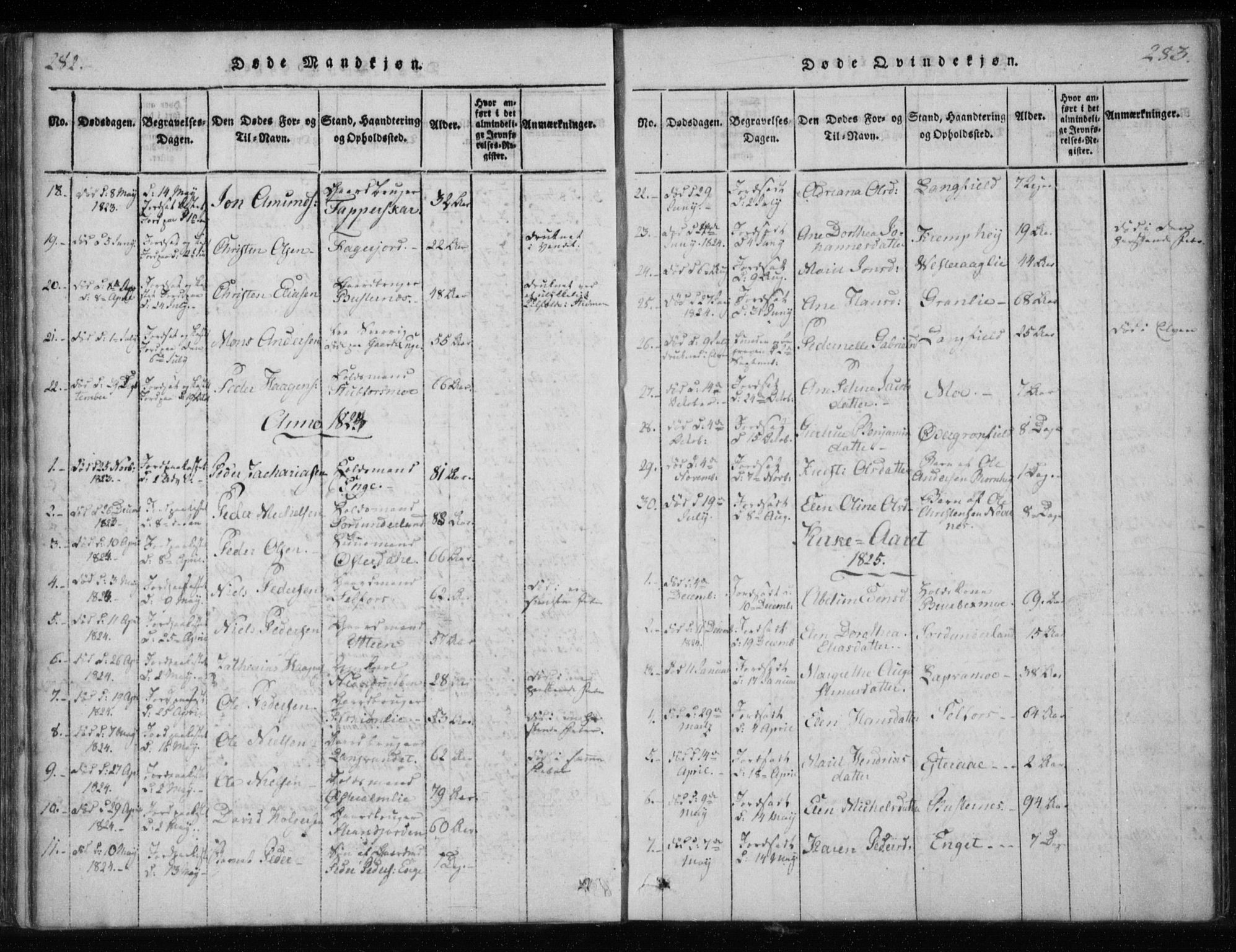 Ministerialprotokoller, klokkerbøker og fødselsregistre - Nordland, AV/SAT-A-1459/825/L0353: Parish register (official) no. 825A07, 1820-1826, p. 282-283