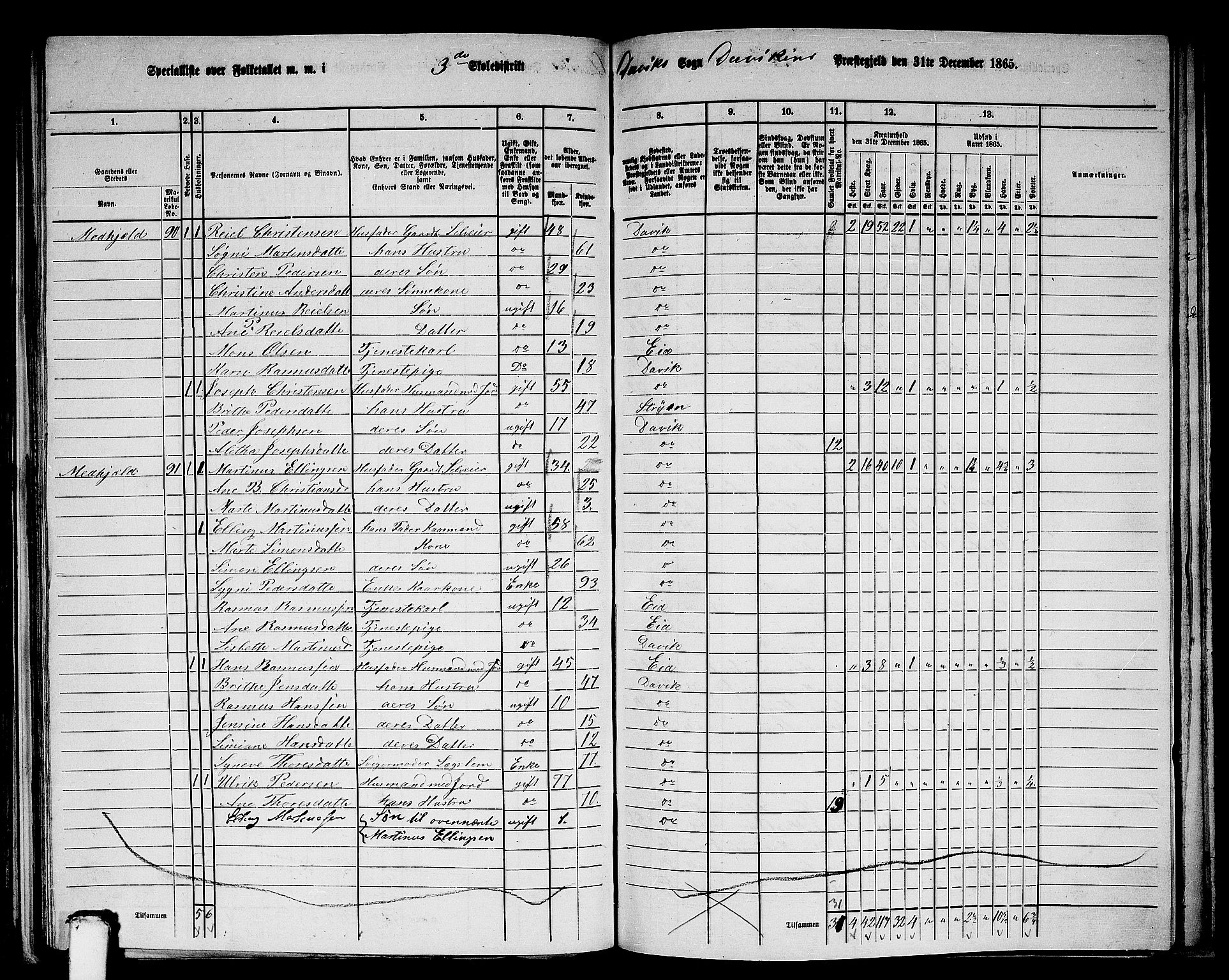 RA, 1865 census for Davik, 1865, p. 63