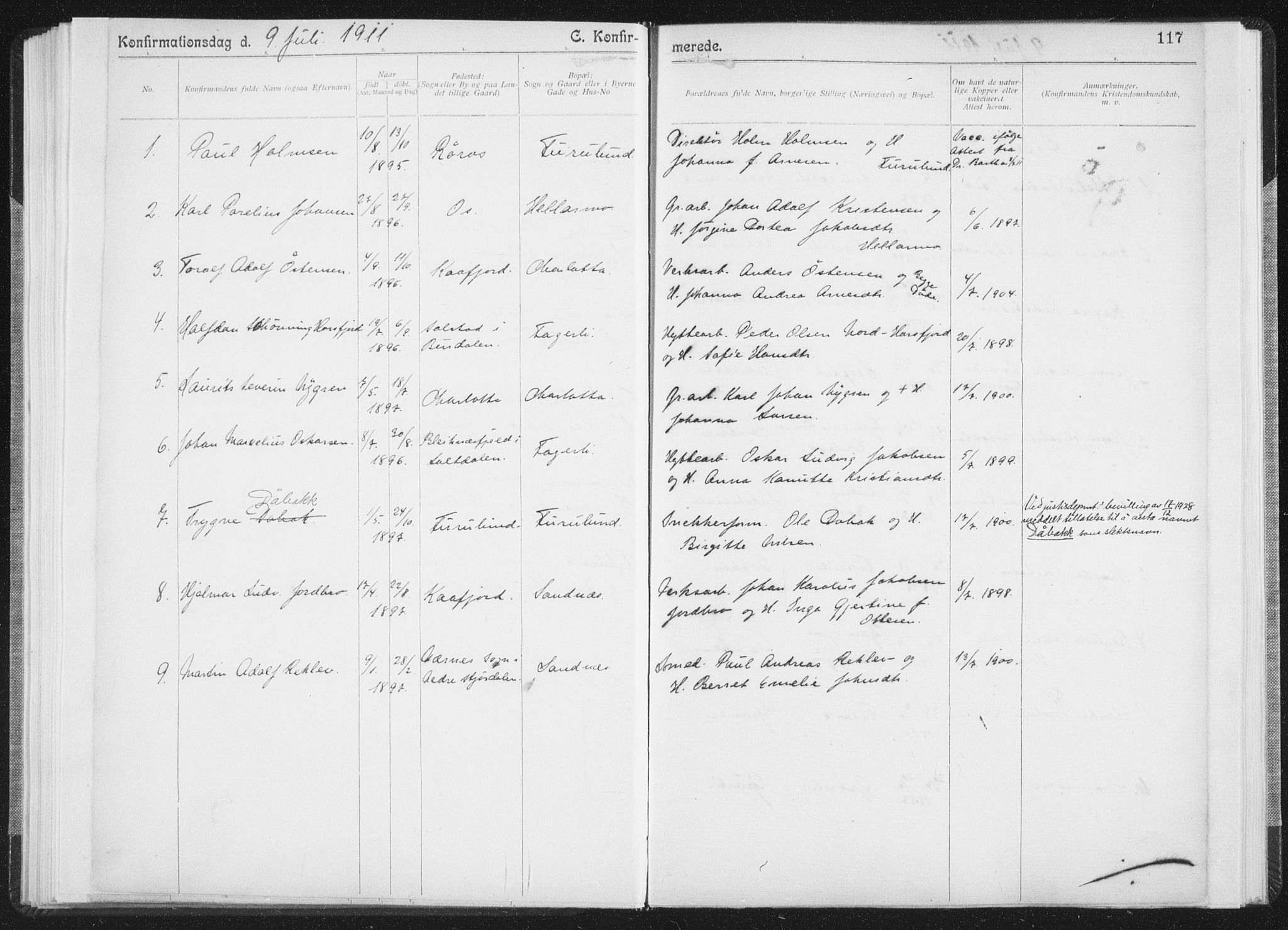 Ministerialprotokoller, klokkerbøker og fødselsregistre - Nordland, AV/SAT-A-1459/850/L0711: Curate's parish register no. 850B01, 1902-1915, p. 117