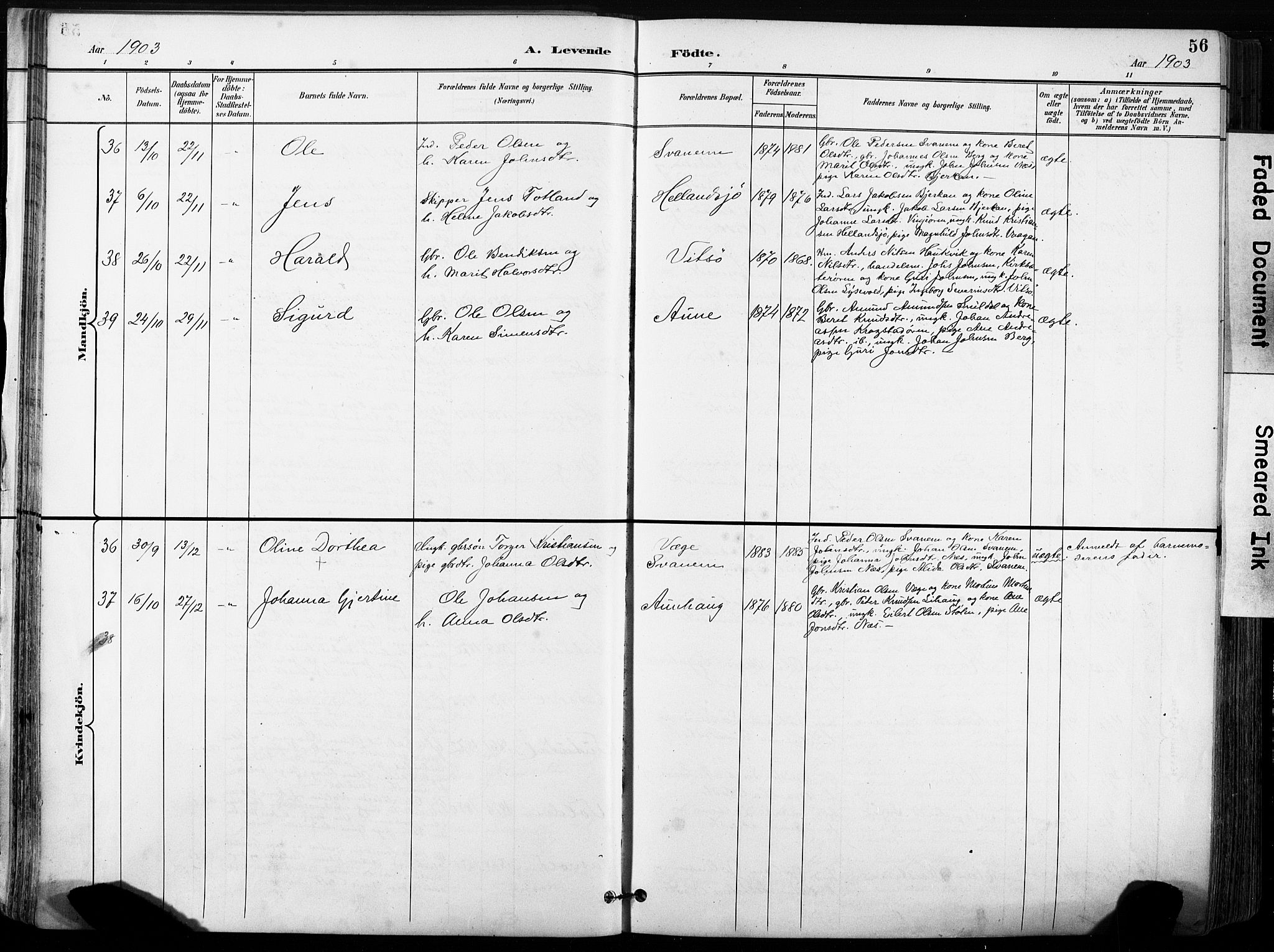 Ministerialprotokoller, klokkerbøker og fødselsregistre - Sør-Trøndelag, SAT/A-1456/630/L0497: Parish register (official) no. 630A10, 1896-1910, p. 56