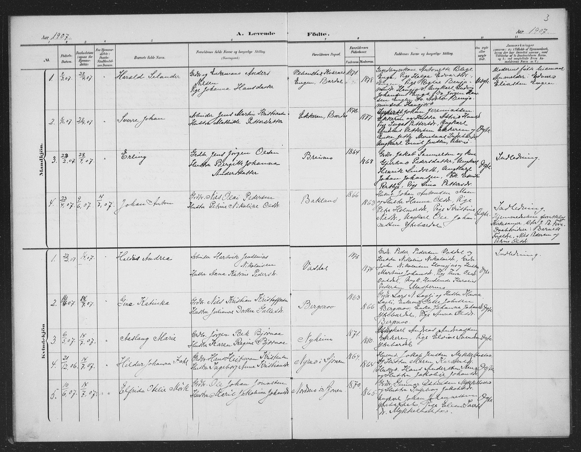 Ministerialprotokoller, klokkerbøker og fødselsregistre - Nordland, AV/SAT-A-1459/833/L0502: Parish register (copy) no. 833C01, 1906-1934, p. 3