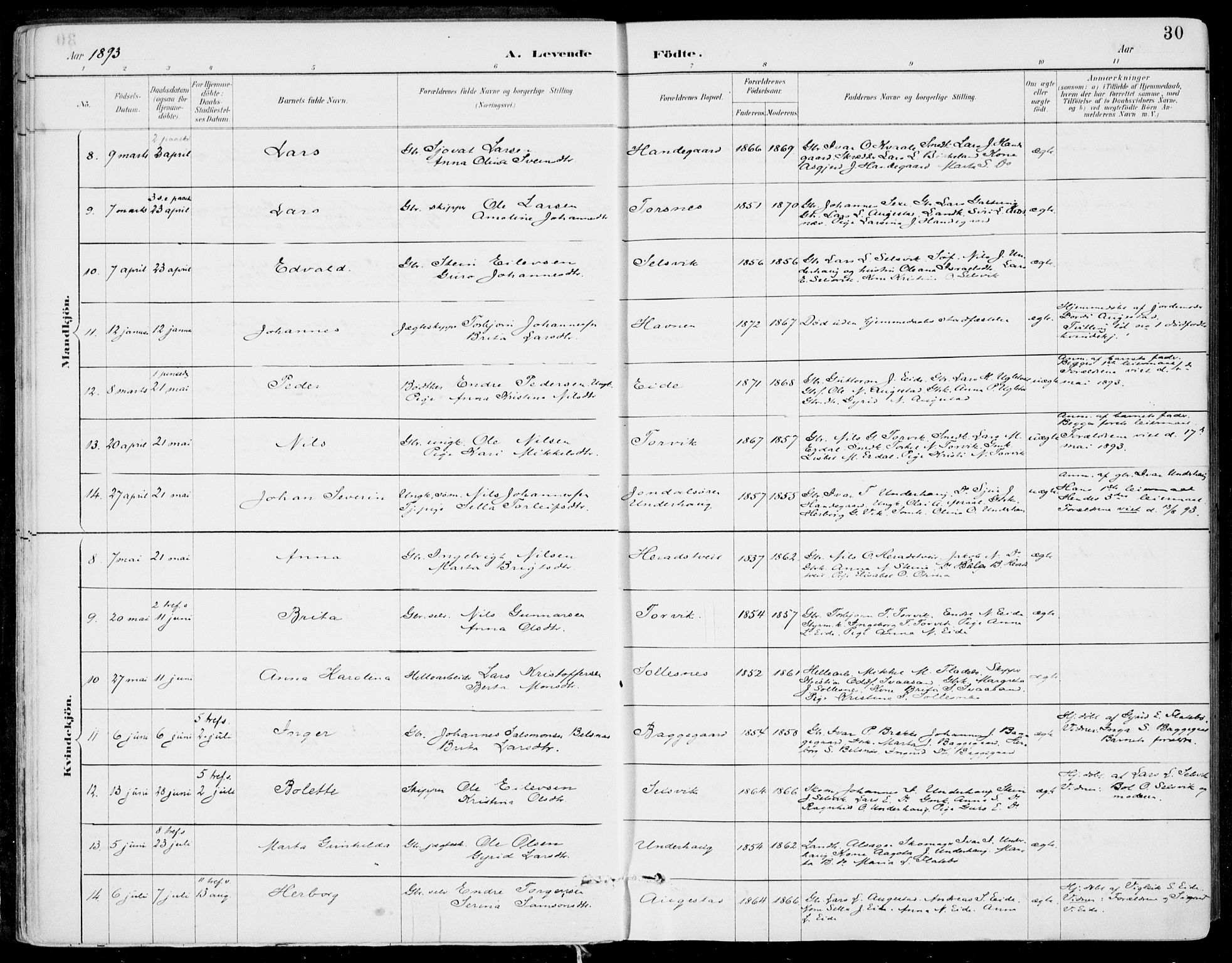 Strandebarm sokneprestembete, SAB/A-78401/H/Haa: Parish register (official) no. E  1, 1886-1908, p. 30