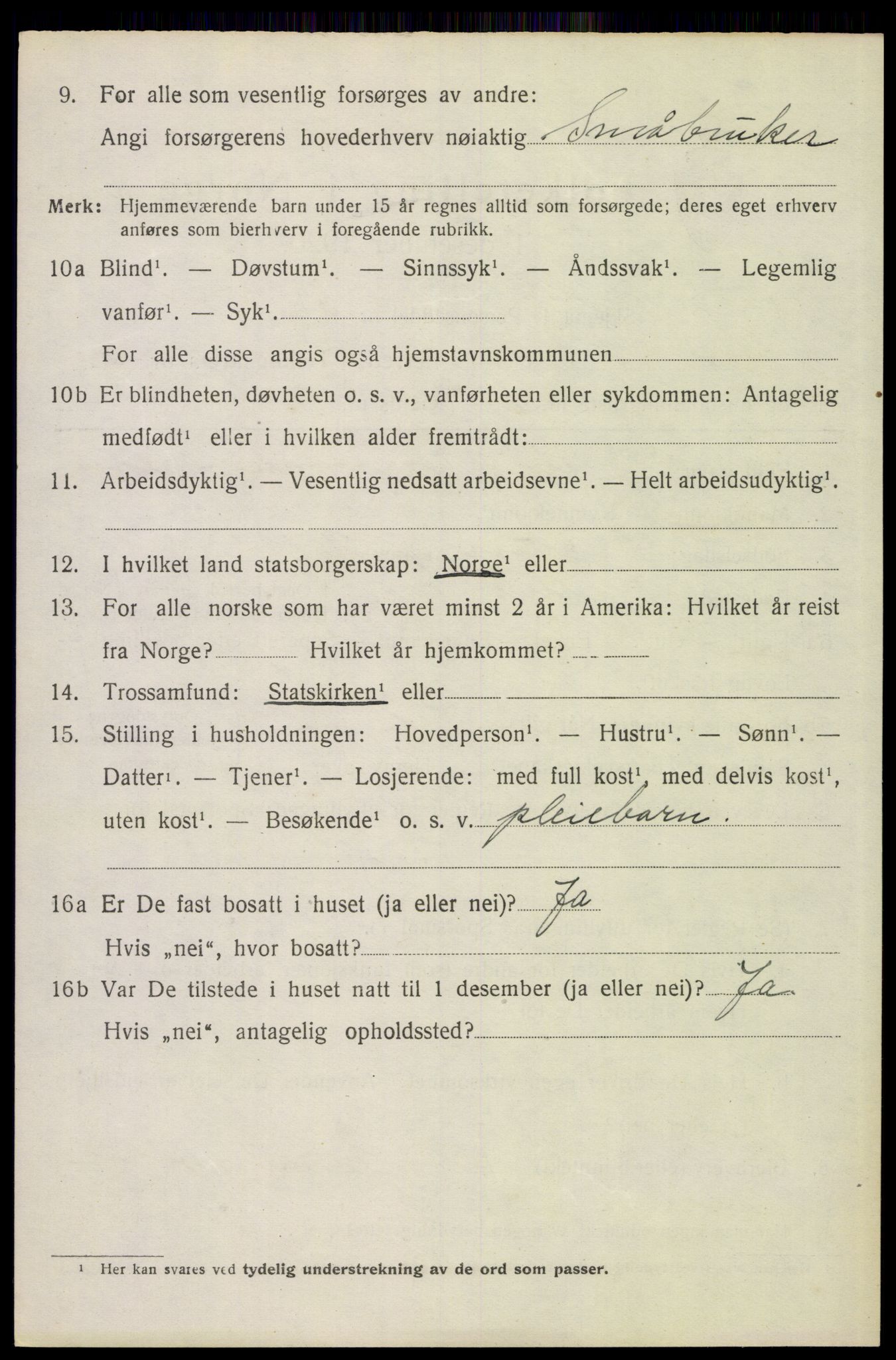 SAH, 1920 census for Åsnes, 1920, p. 8263