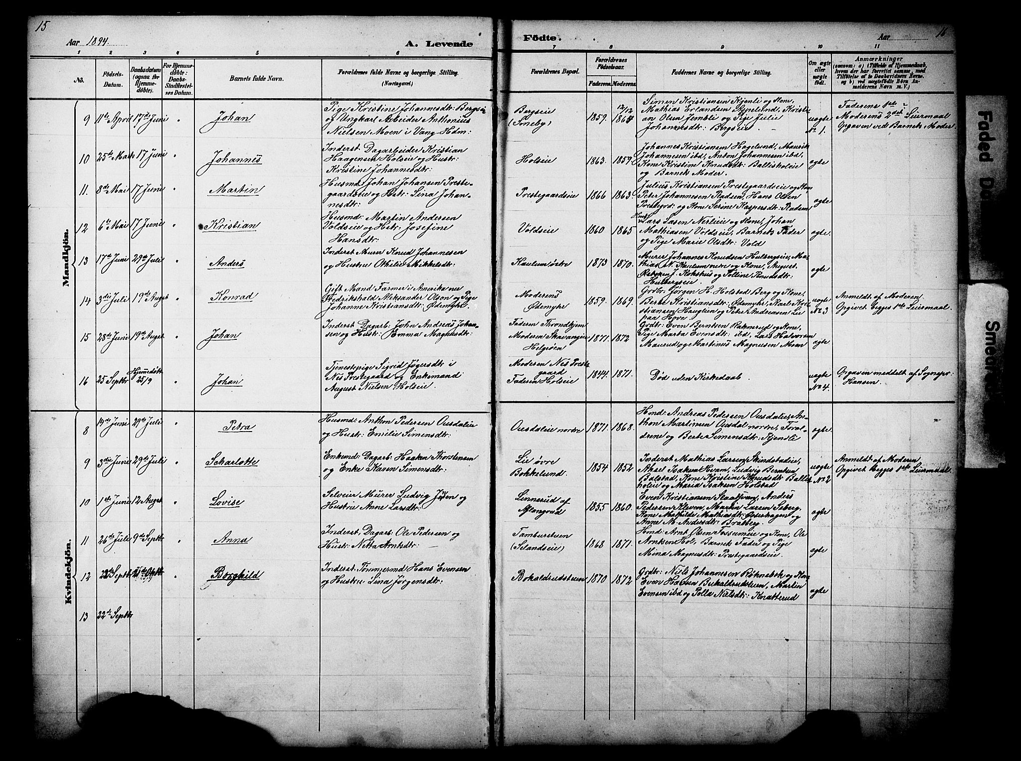 Nes prestekontor, Hedmark, AV/SAH-PREST-020/L/La/L0006: Parish register (copy) no. 6, 1890-1932, p. 15-16