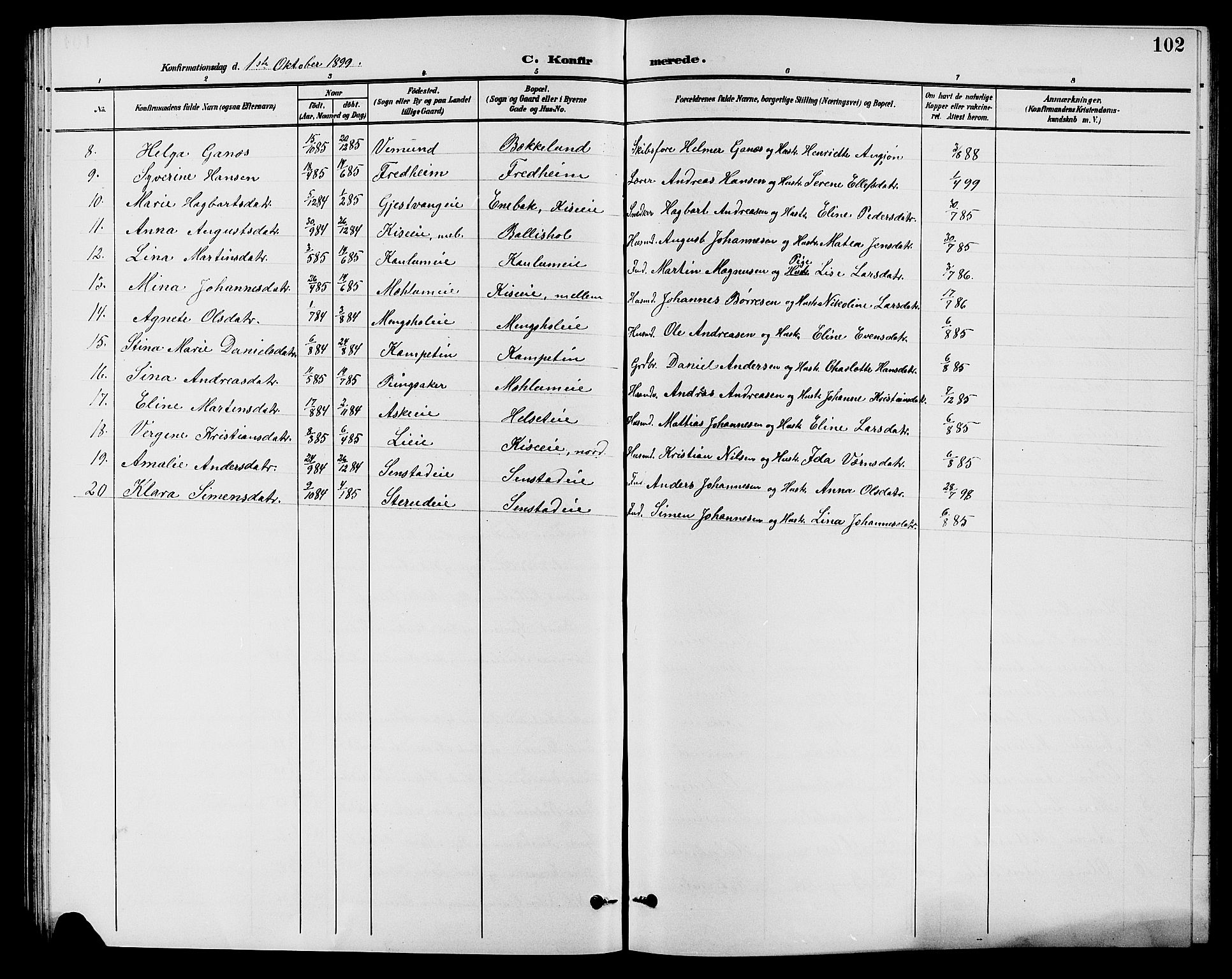 Nes prestekontor, Hedmark, AV/SAH-PREST-020/L/La/L0007: Parish register (copy) no. 7, 1892-1912, p. 102