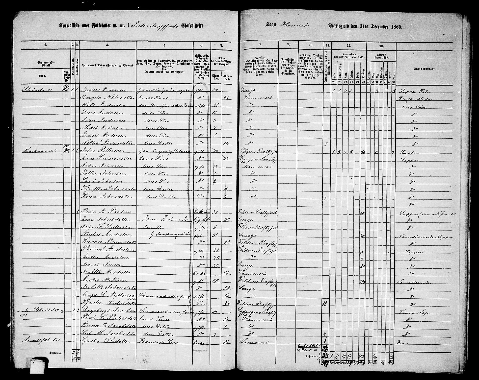 RA, 1865 census for Hamarøy, 1865, p. 91