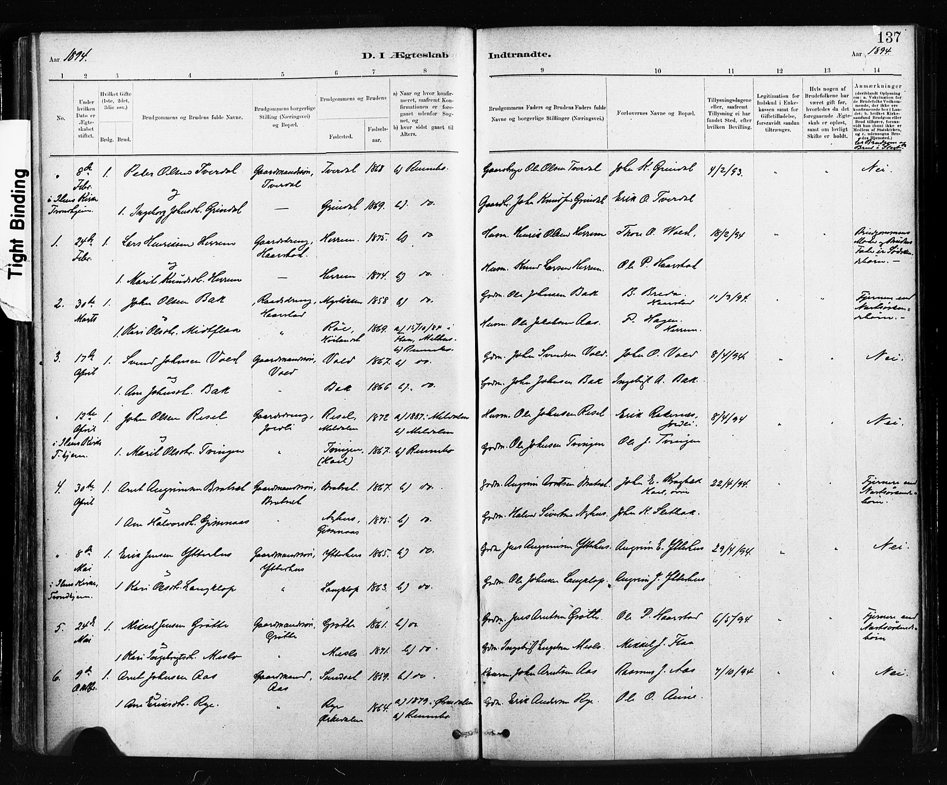 Ministerialprotokoller, klokkerbøker og fødselsregistre - Sør-Trøndelag, AV/SAT-A-1456/674/L0871: Parish register (official) no. 674A03, 1880-1896, p. 137