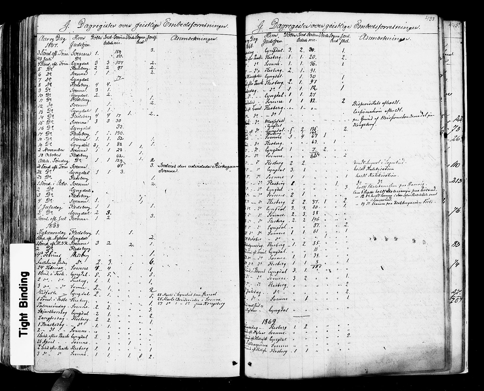 Flesberg kirkebøker, SAKO/A-18/F/Fa/L0007: Parish register (official) no. I 7, 1861-1878, p. 433