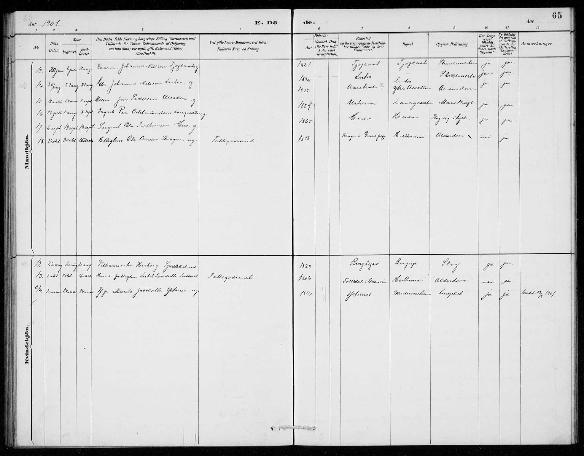 Ullensvang sokneprestembete, SAB/A-78701/H/Hab: Parish register (copy) no. E  9, 1886-1938, p. 65