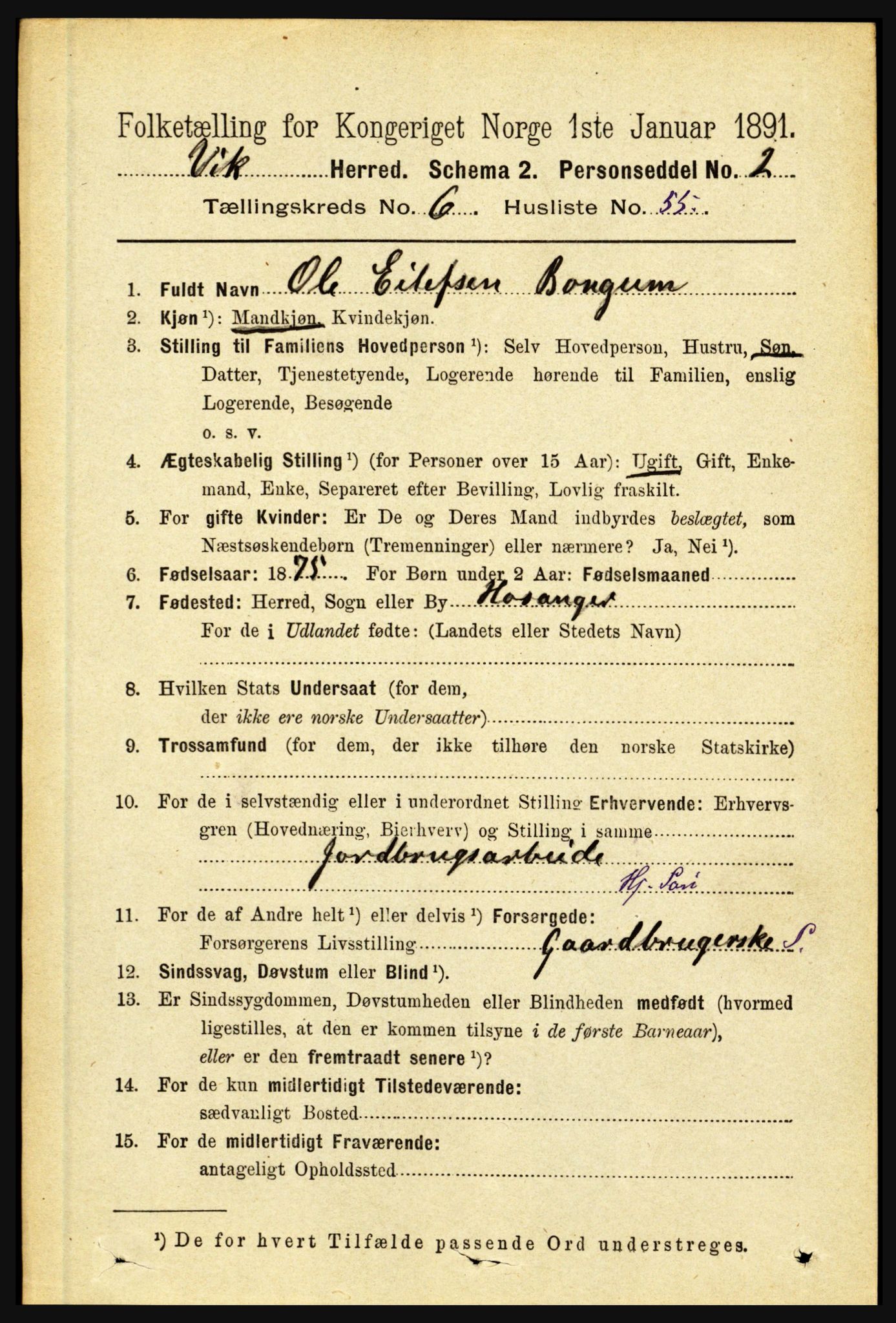 RA, 1891 census for 1417 Vik, 1891, p. 3129