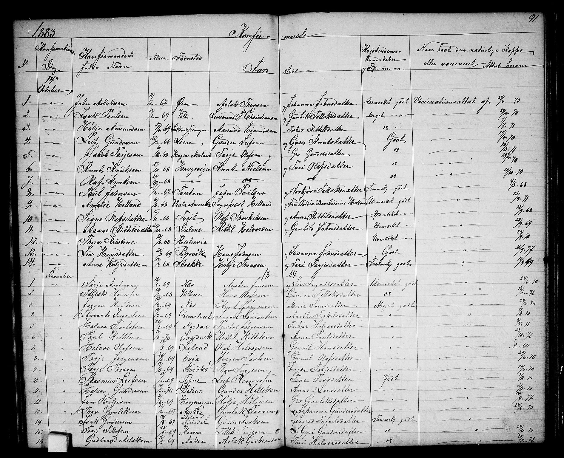 Nissedal kirkebøker, SAKO/A-288/G/Ga/L0002: Parish register (copy) no. I 2, 1861-1887, p. 91