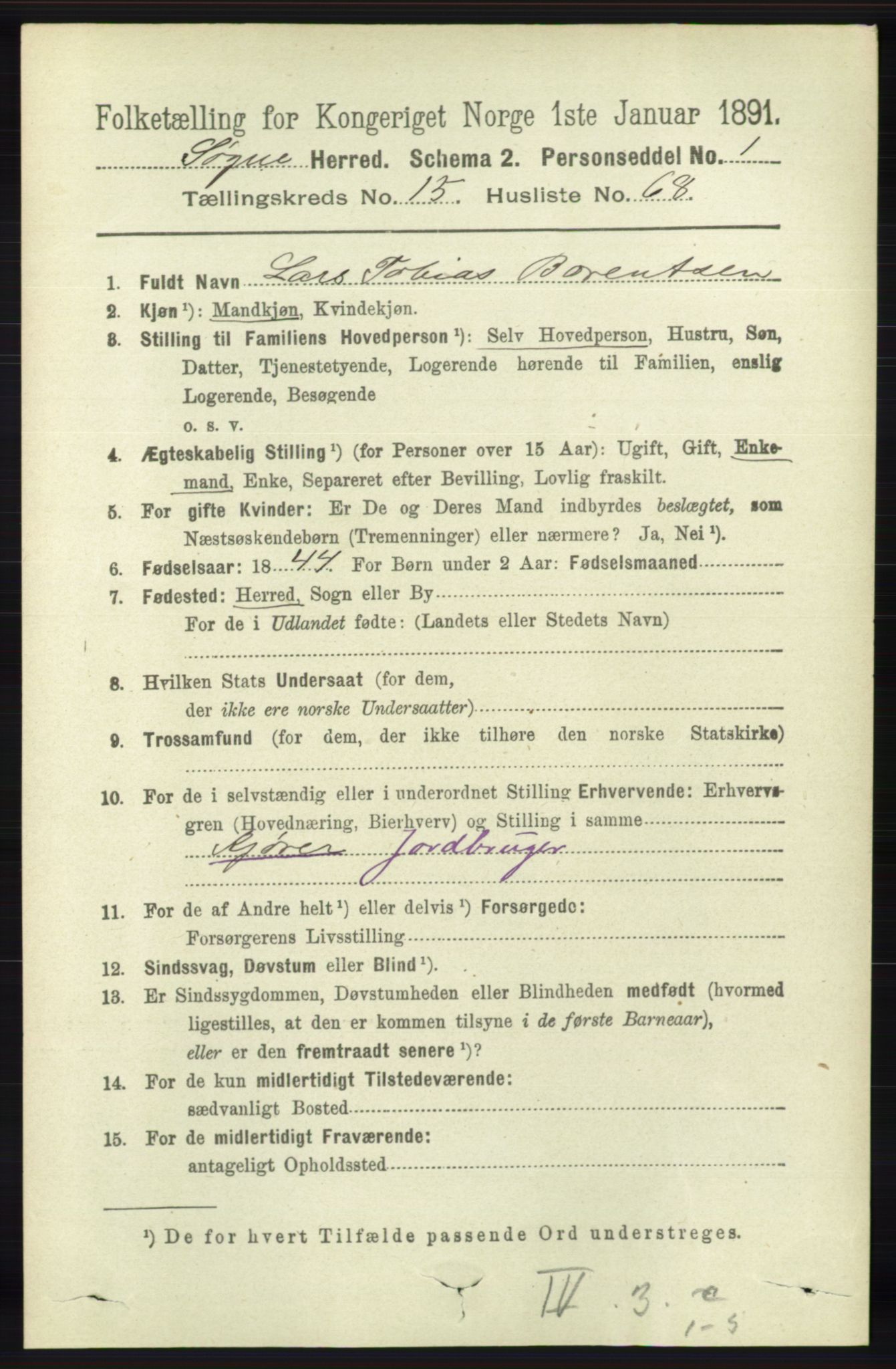 RA, 1891 census for 1018 Søgne, 1891, p. 4218