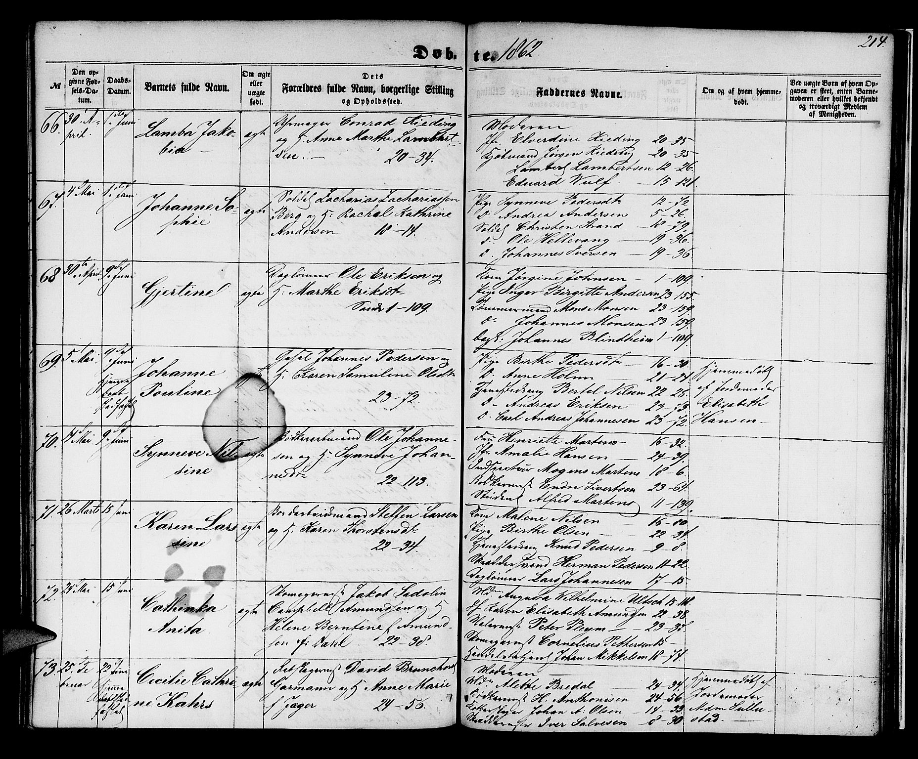 Korskirken sokneprestembete, SAB/A-76101/H/Hab: Parish register (copy) no. B 4, 1858-1863, p. 214