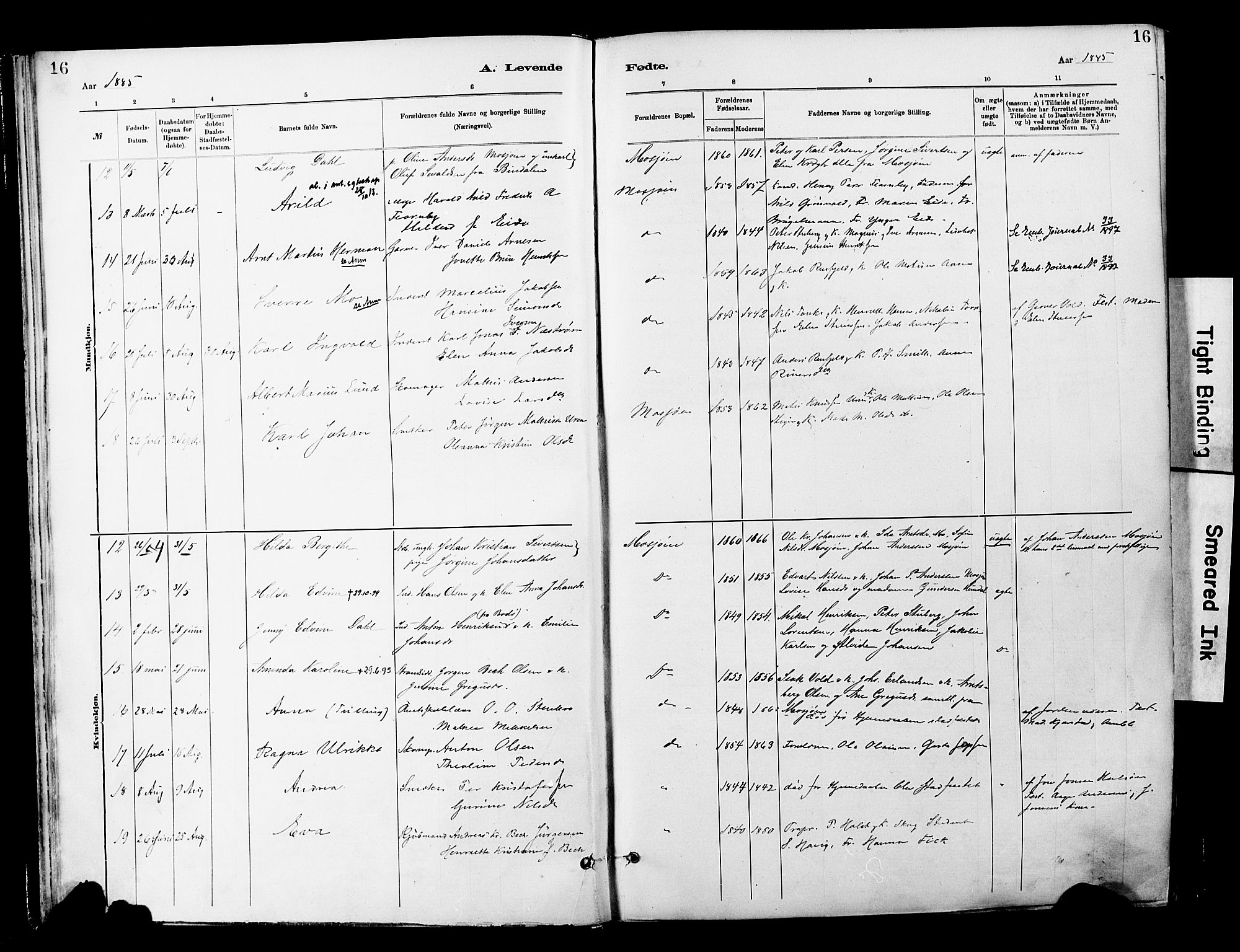 Ministerialprotokoller, klokkerbøker og fødselsregistre - Nordland, SAT/A-1459/820/L0296: Parish register (official) no. 820A17, 1880-1903, p. 16
