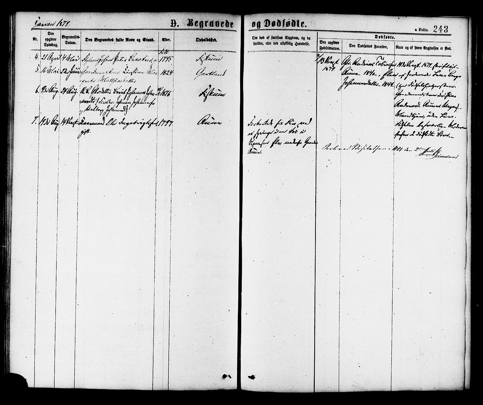 Ministerialprotokoller, klokkerbøker og fødselsregistre - Nord-Trøndelag, SAT/A-1458/758/L0516: Parish register (official) no. 758A03 /3, 1869-1879, p. 243