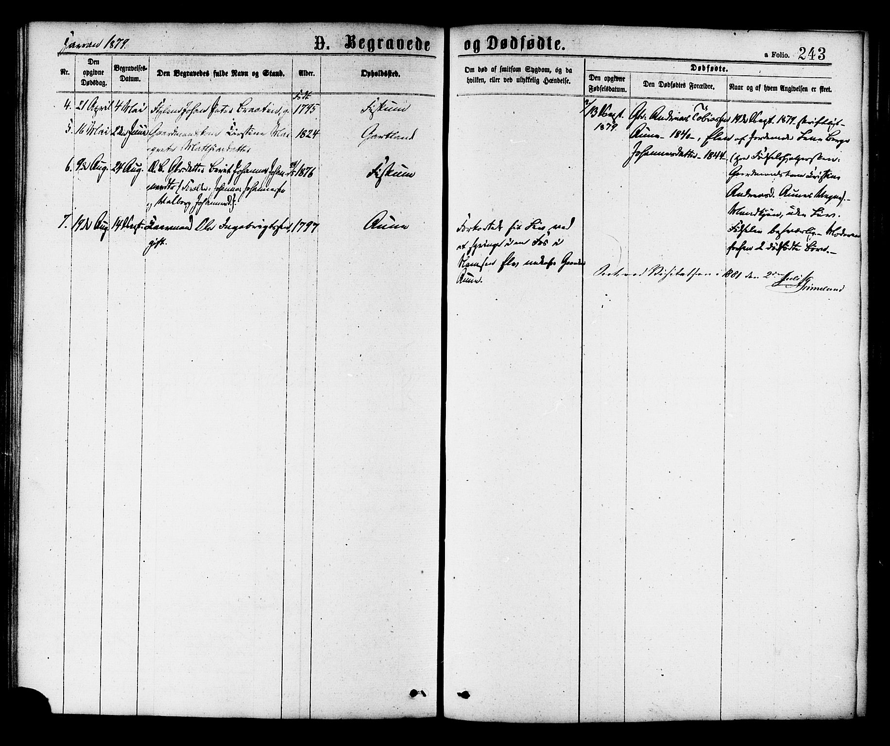 Ministerialprotokoller, klokkerbøker og fødselsregistre - Nord-Trøndelag, AV/SAT-A-1458/758/L0516: Parish register (official) no. 758A03 /3, 1869-1879, p. 243