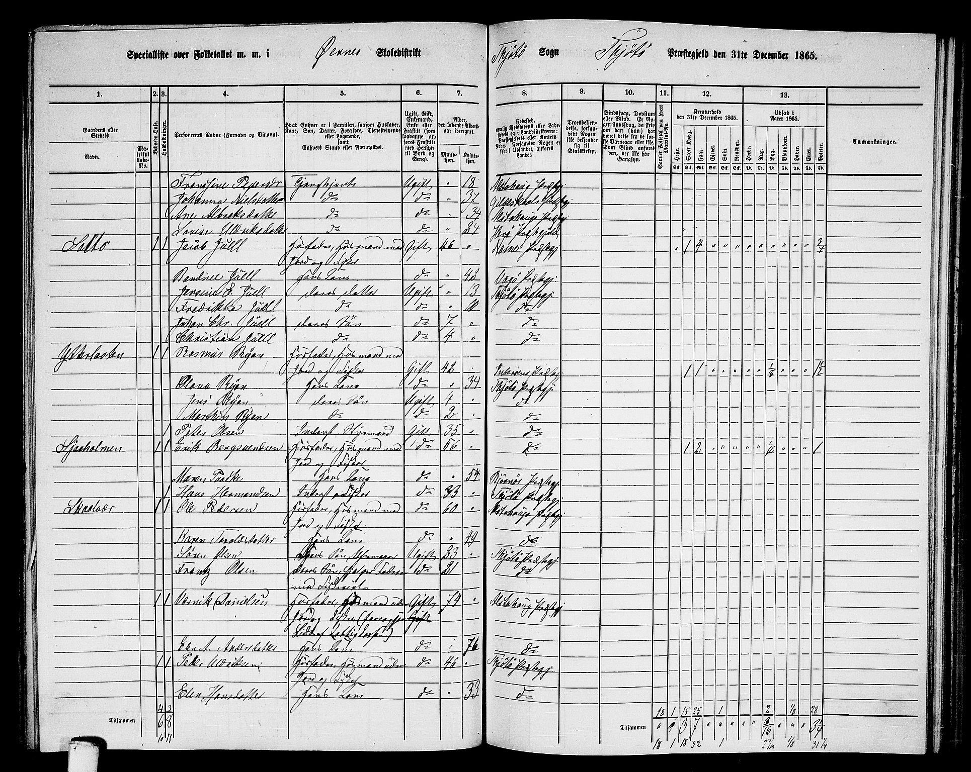 RA, 1865 census for Tjøtta, 1865, p. 87