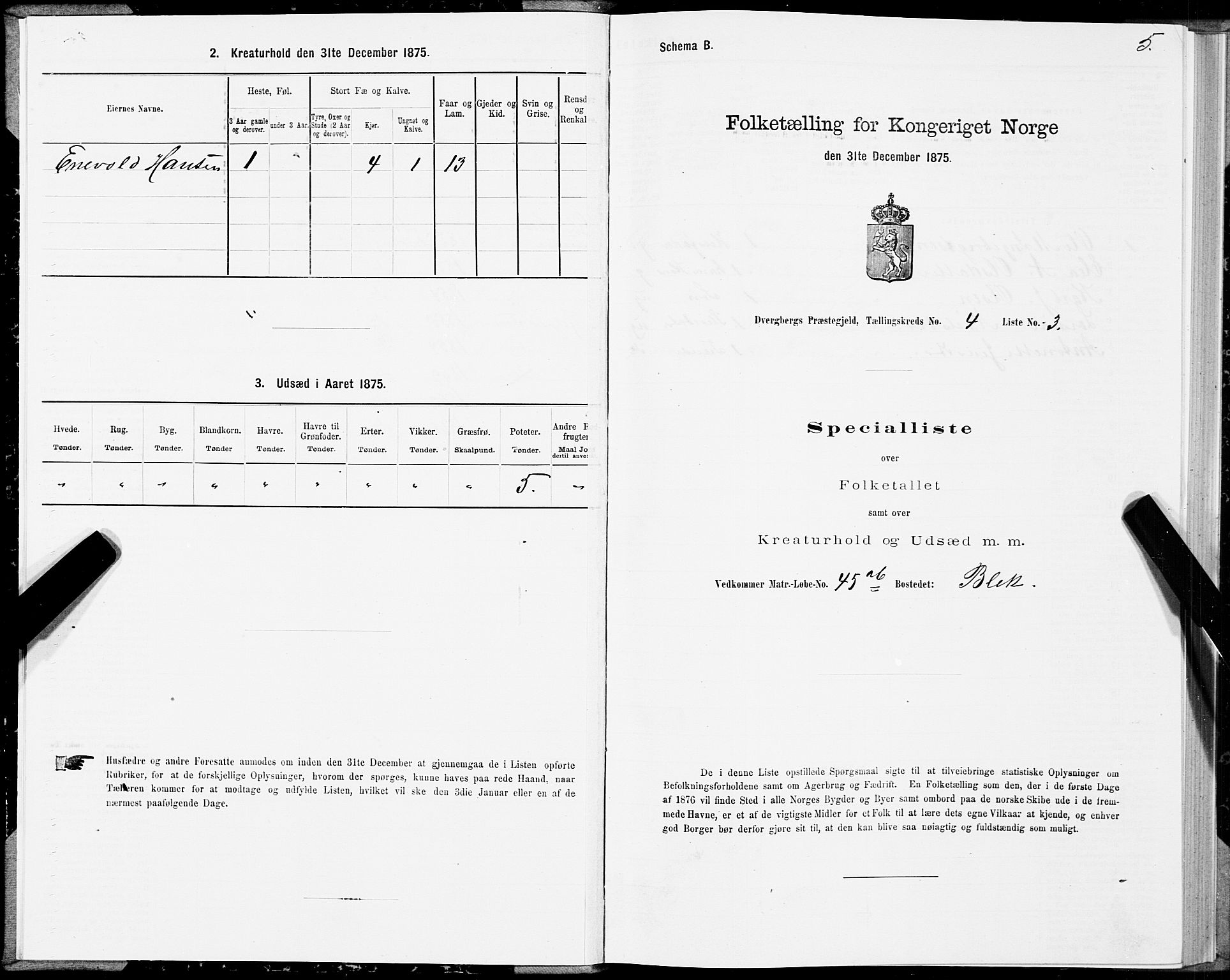 SAT, 1875 census for 1872P Dverberg, 1875, p. 3005