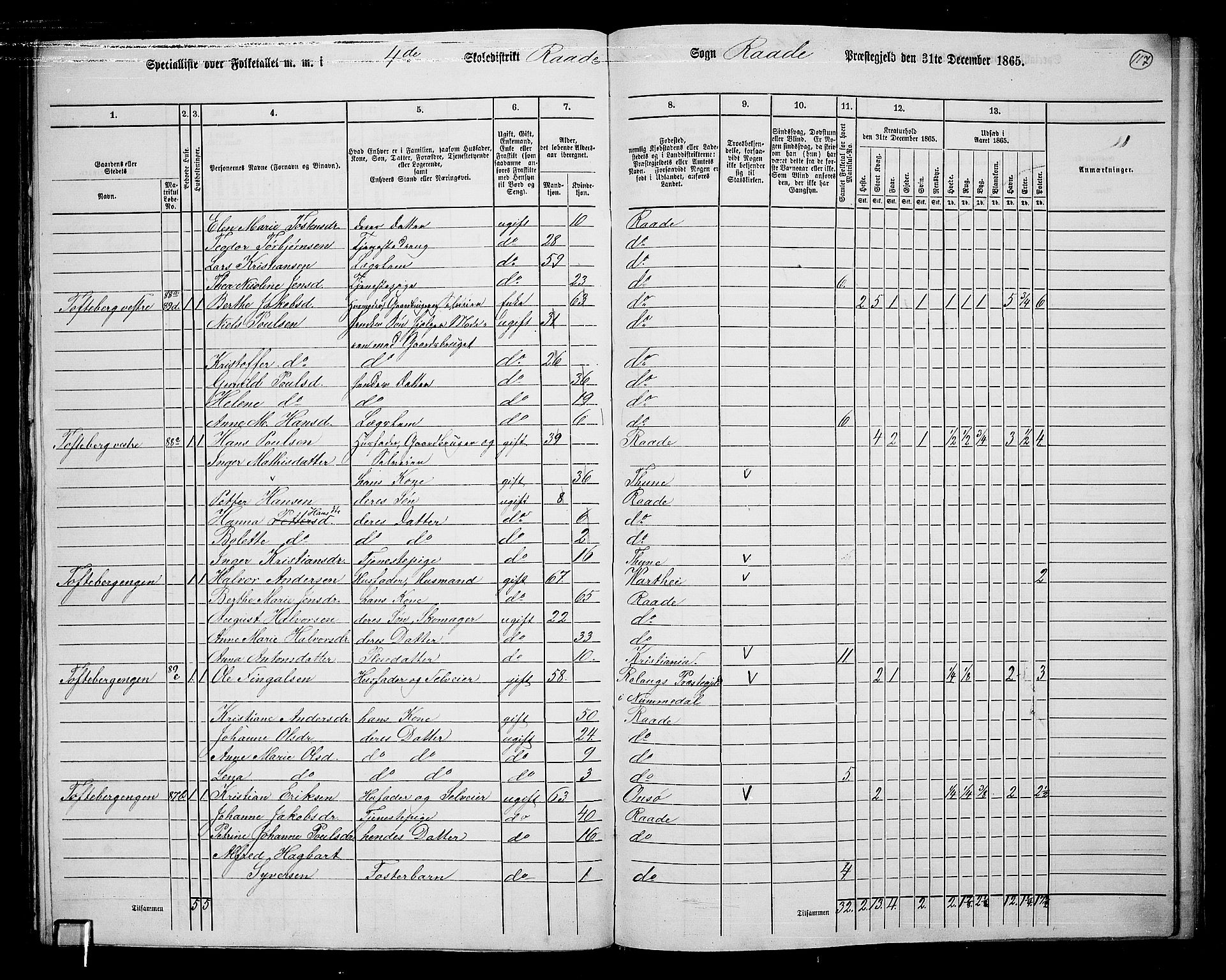 RA, 1865 census for Råde, 1865, p. 104