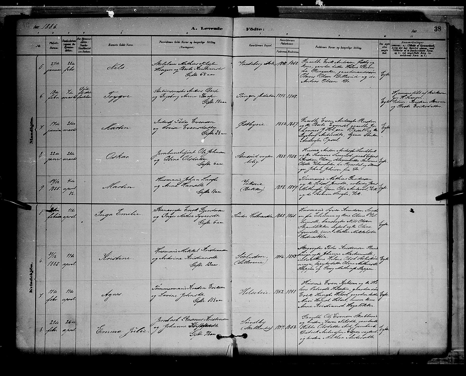 Stange prestekontor, AV/SAH-PREST-002/L/L0008: Parish register (copy) no. 8, 1882-1895, p. 38