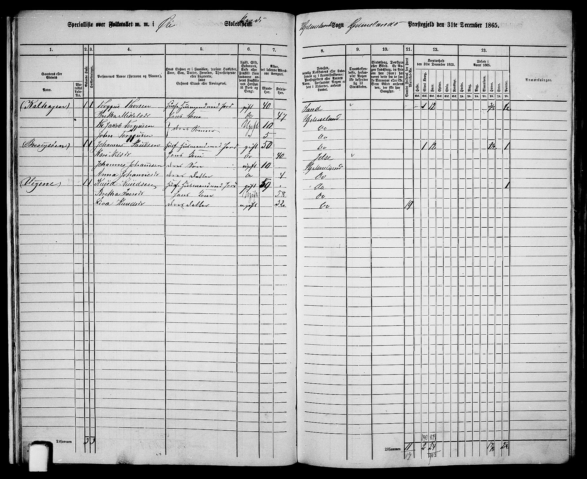 RA, 1865 census for Hjelmeland, 1865, p. 22