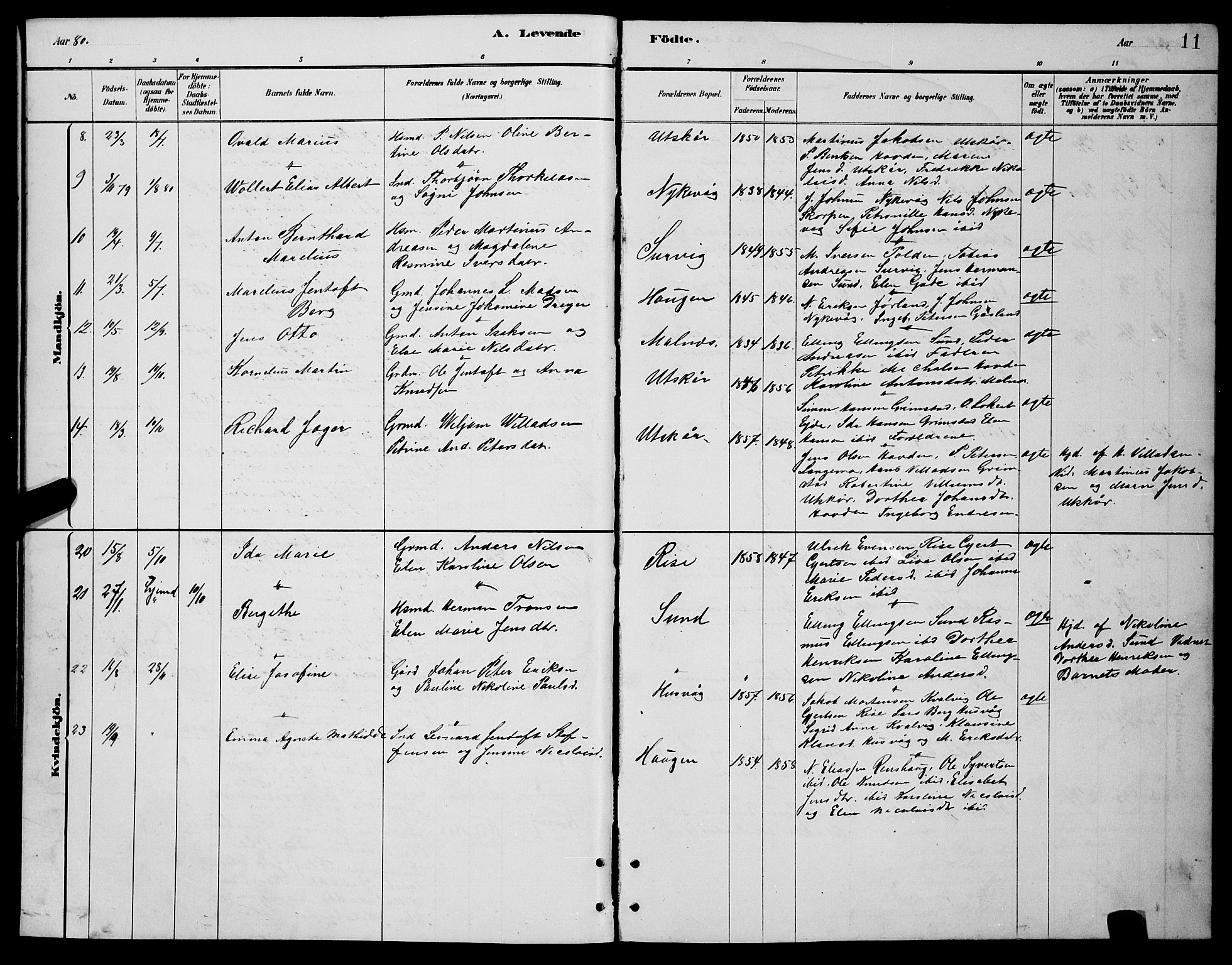 Ministerialprotokoller, klokkerbøker og fødselsregistre - Nordland, AV/SAT-A-1459/892/L1325: Parish register (copy) no. 892C02, 1878-1896, p. 11