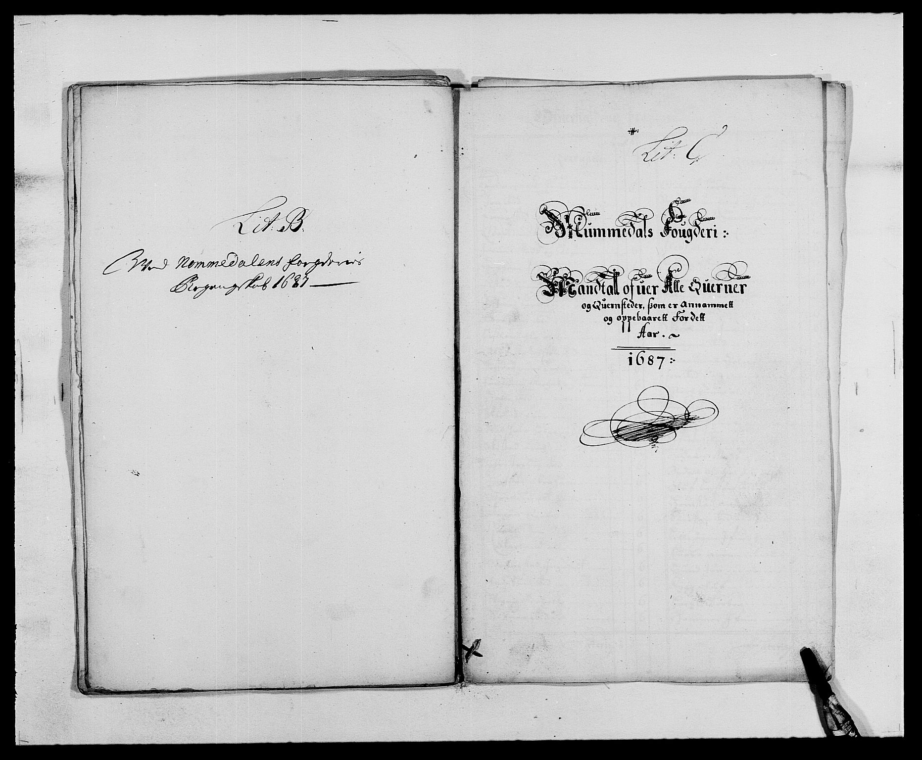 Rentekammeret inntil 1814, Reviderte regnskaper, Fogderegnskap, AV/RA-EA-4092/R64/L4422: Fogderegnskap Namdal, 1687-1689, p. 12