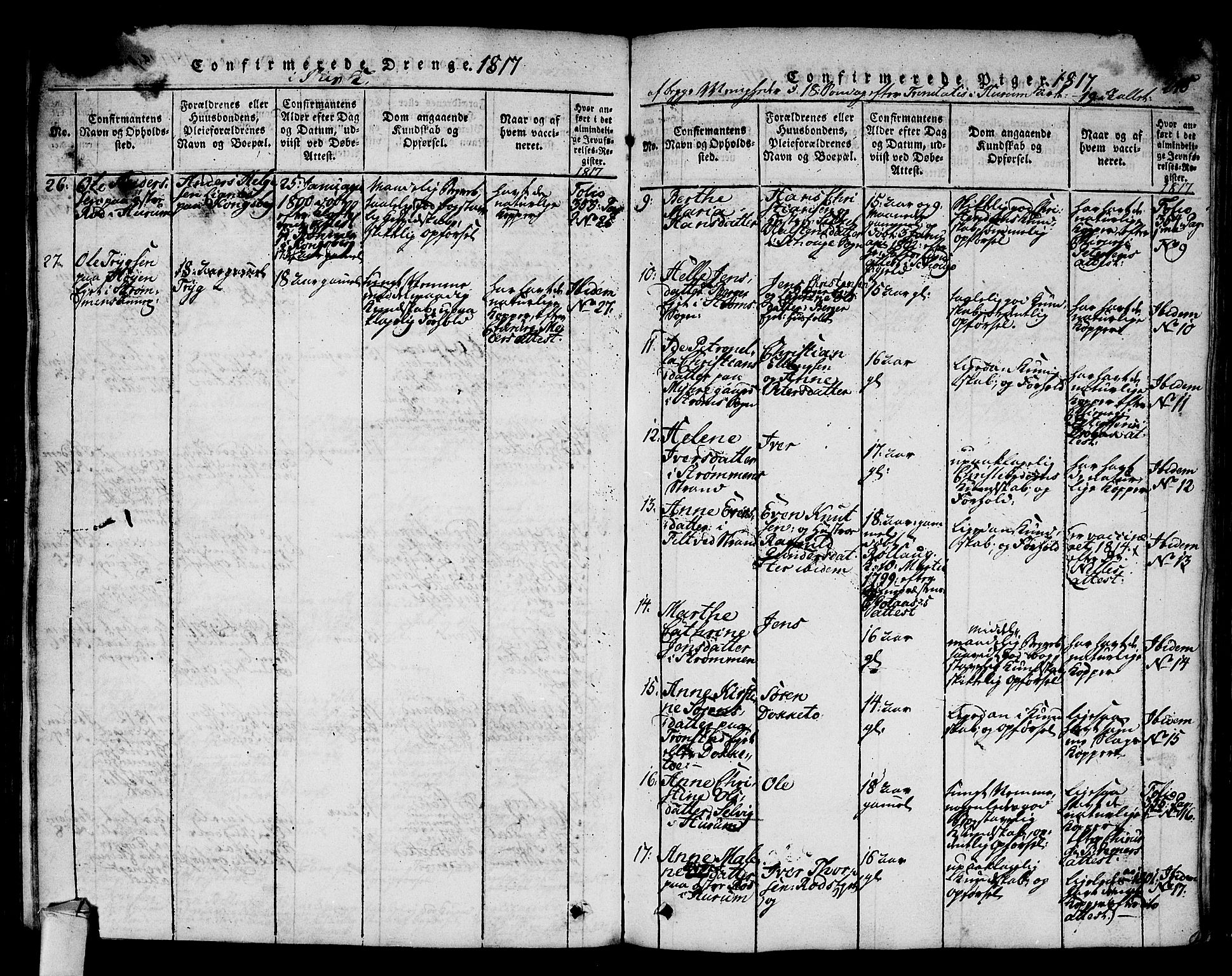 Hurum kirkebøker, AV/SAKO-A-229/F/Fa/L0009: Parish register (official) no. 9, 1816-1826, p. 248