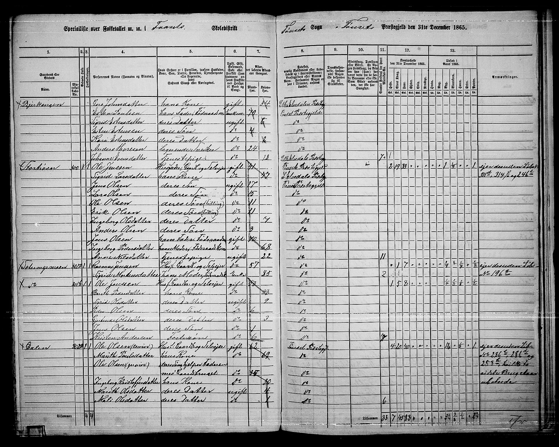 RA, 1865 census for Tynset, 1865, p. 117