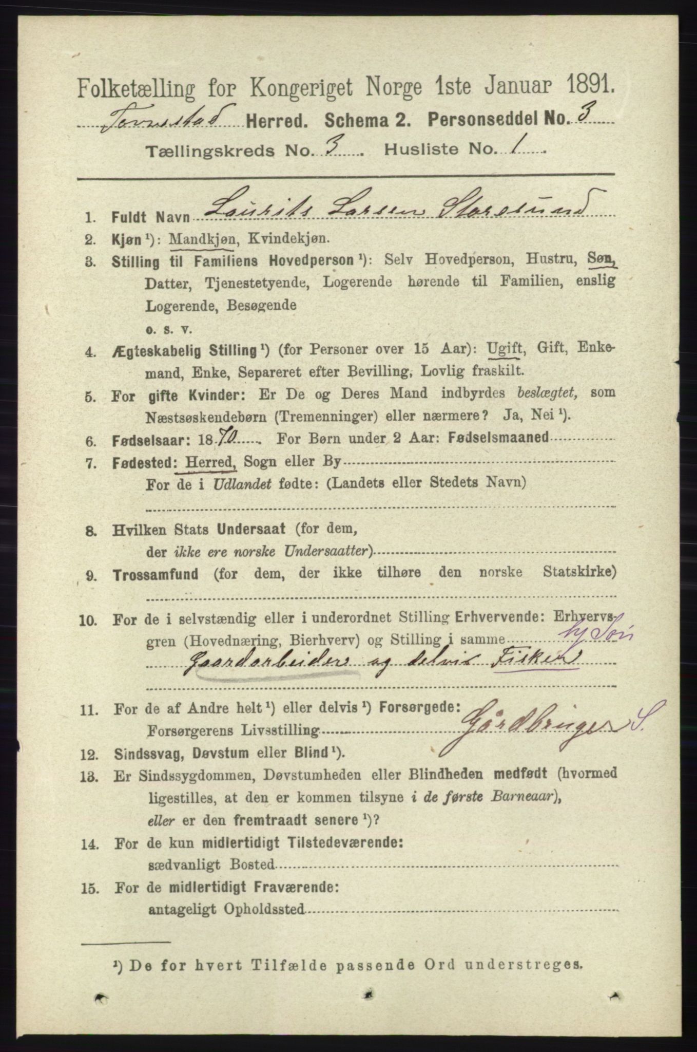 RA, 1891 census for 1152 Torvastad, 1891, p. 953