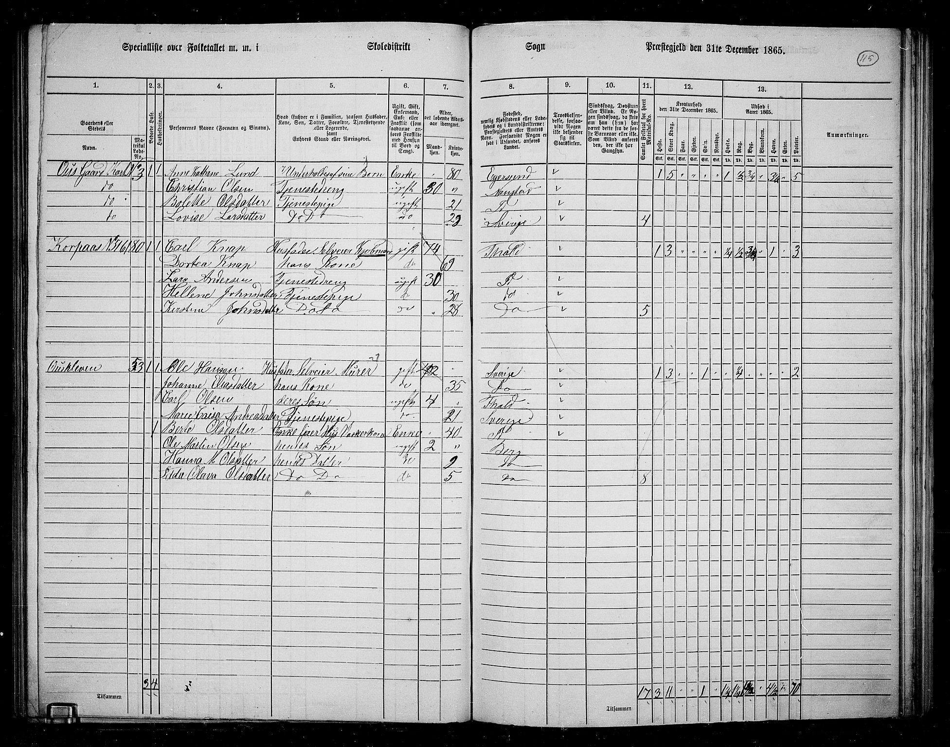 RA, 1865 census for Berg, 1865, p. 104