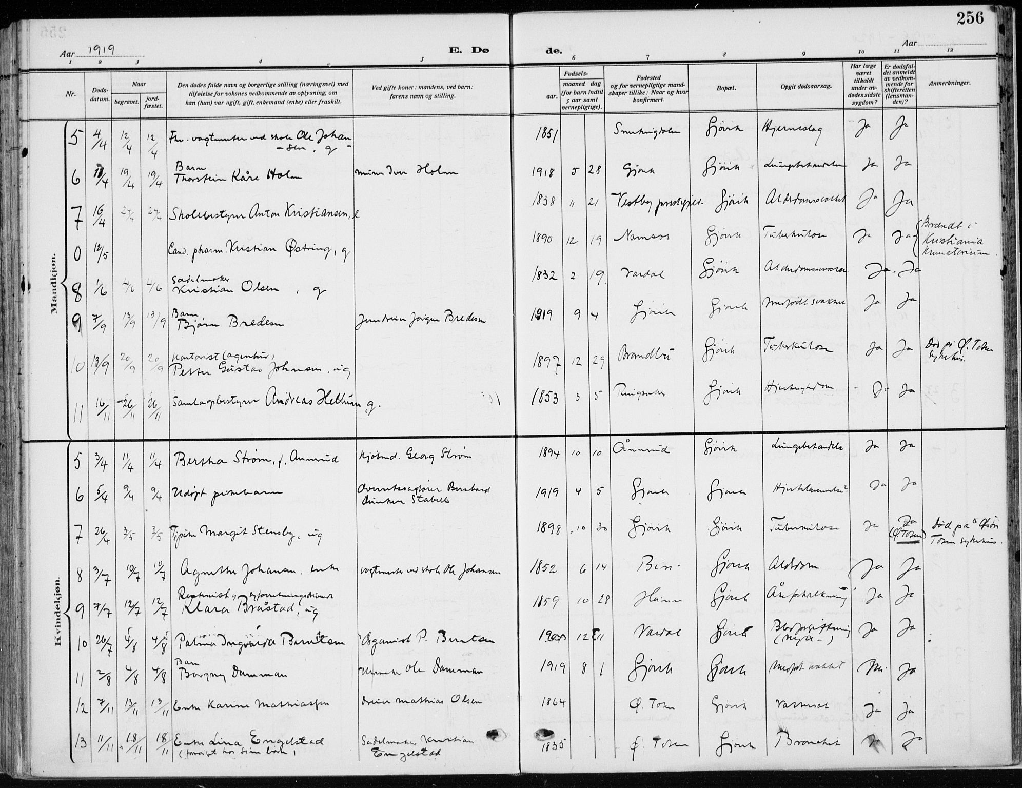 Vardal prestekontor, AV/SAH-PREST-100/H/Ha/Haa/L0014: Parish register (official) no. 14, 1912-1922, p. 256