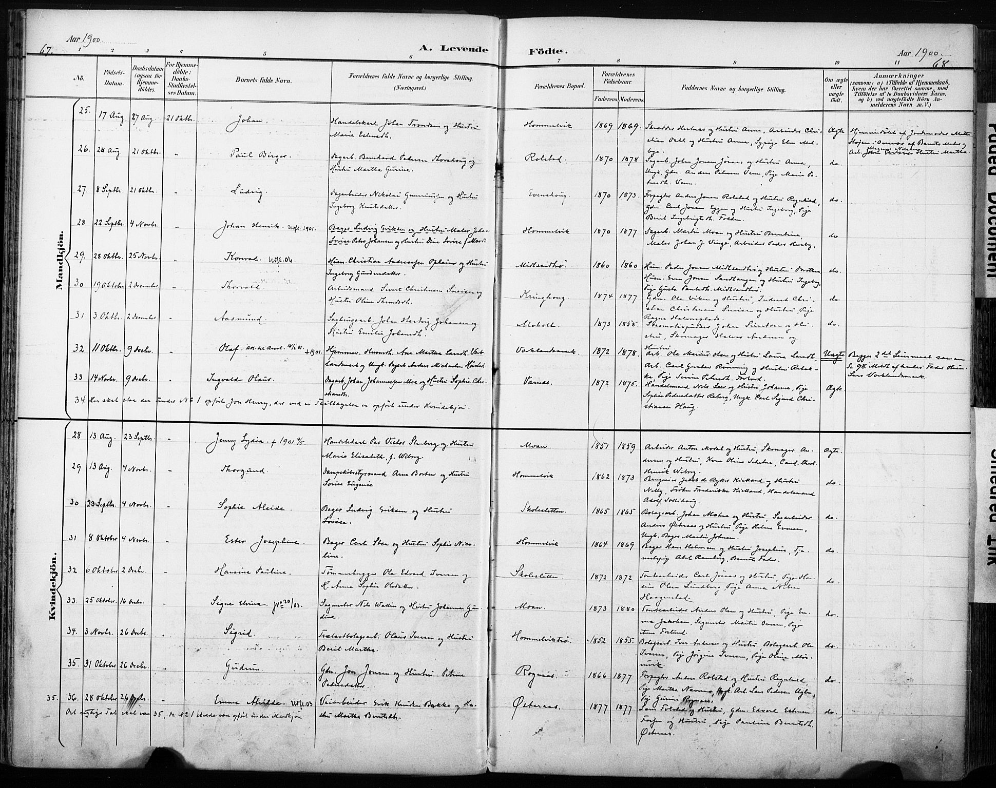 Ministerialprotokoller, klokkerbøker og fødselsregistre - Sør-Trøndelag, AV/SAT-A-1456/616/L0411: Parish register (official) no. 616A08, 1894-1906, p. 67-68