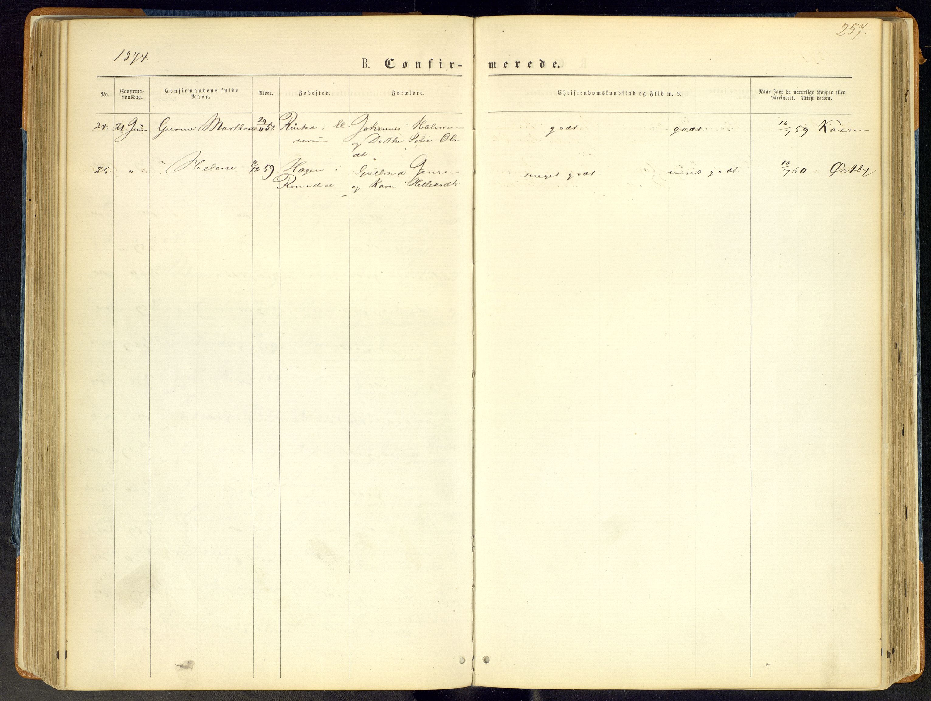 Åmot prestekontor, Hedmark, AV/SAH-PREST-056/H/Ha/Haa/L0008: Parish register (official) no. 8, 1862-1875, p. 257