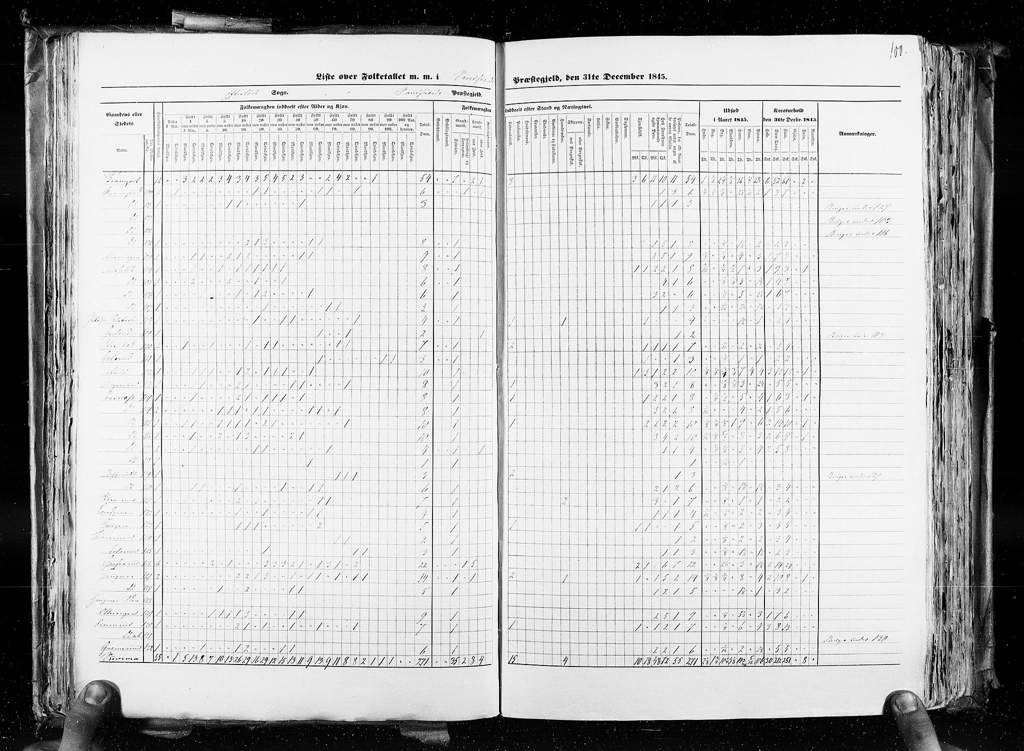 RA, Census 1845, vol. 4: Buskerud amt og Jarlsberg og Larvik amt, 1845, p. 100