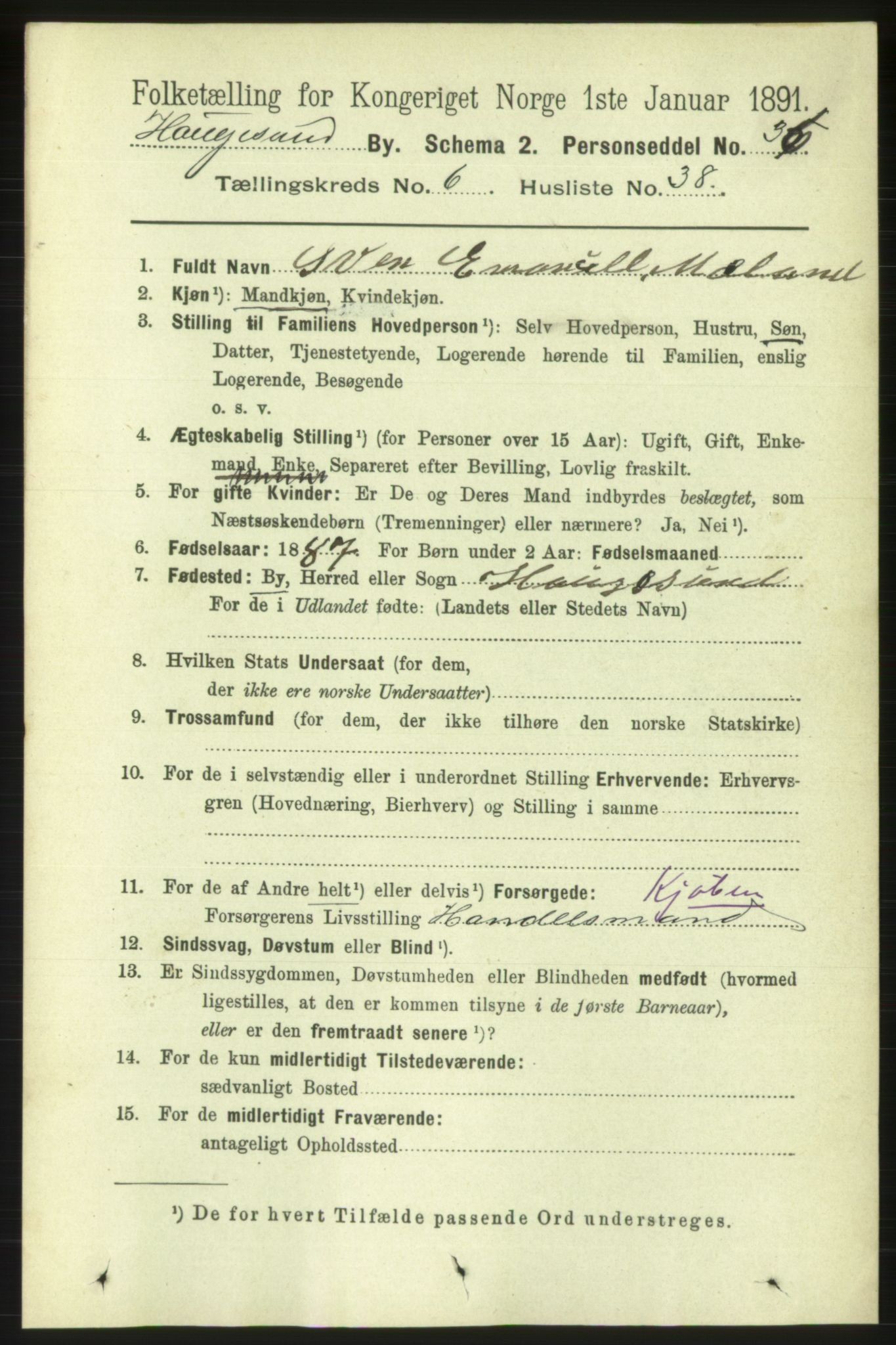 RA, 1891 census for 1106 Haugesund, 1891, p. 3032