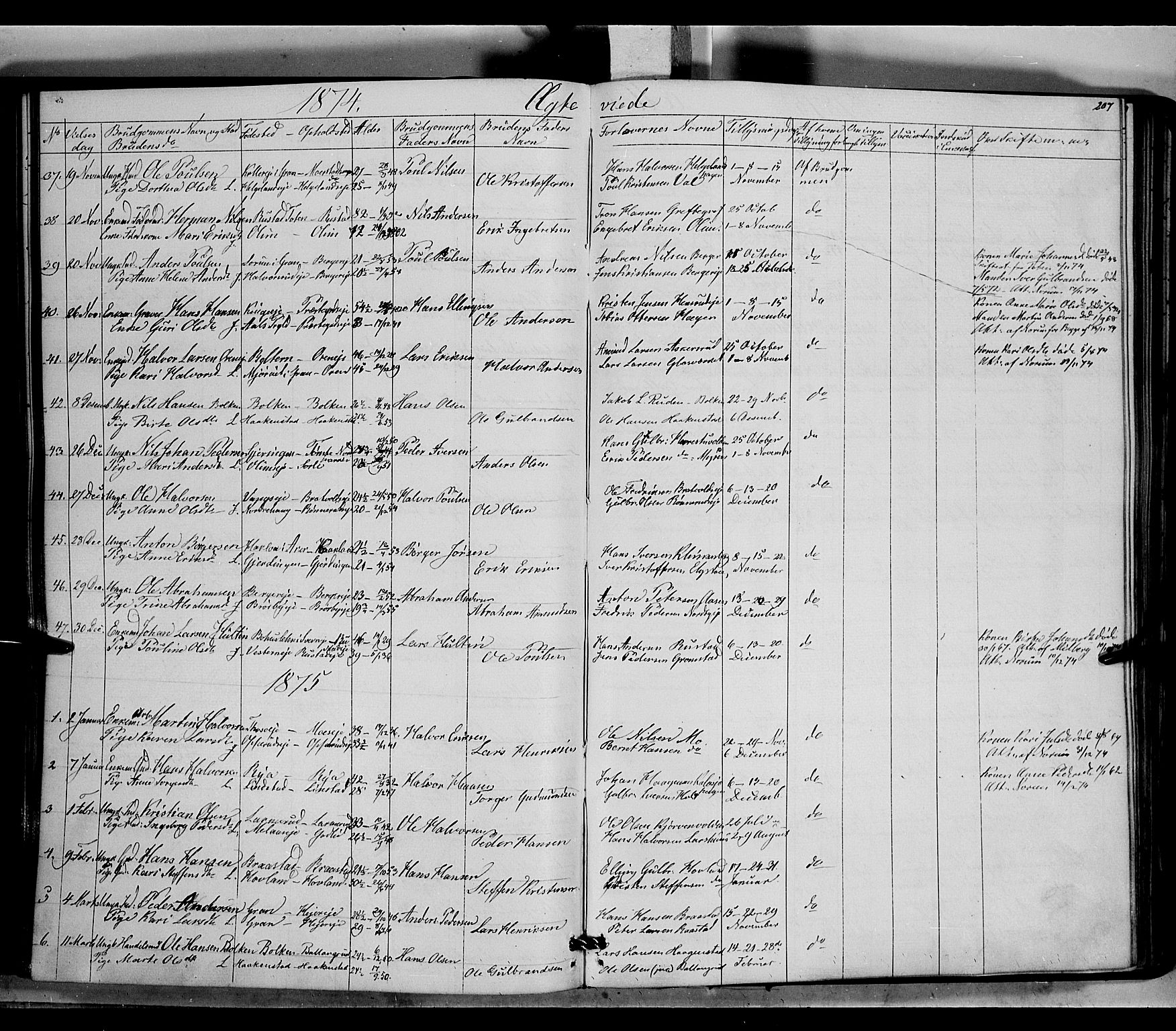 Jevnaker prestekontor, SAH/PREST-116/H/Ha/Haa/L0007: Parish register (official) no. 7, 1858-1876, p. 207