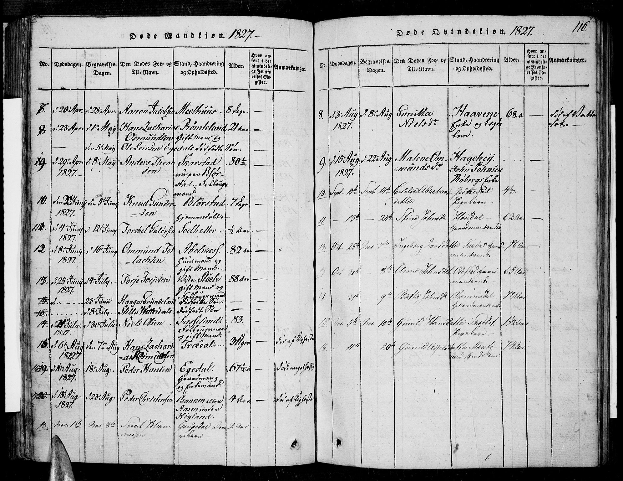 Sør-Audnedal sokneprestkontor, AV/SAK-1111-0039/F/Fa/Fab/L0005: Parish register (official) no. A 5, 1816-1830, p. 116