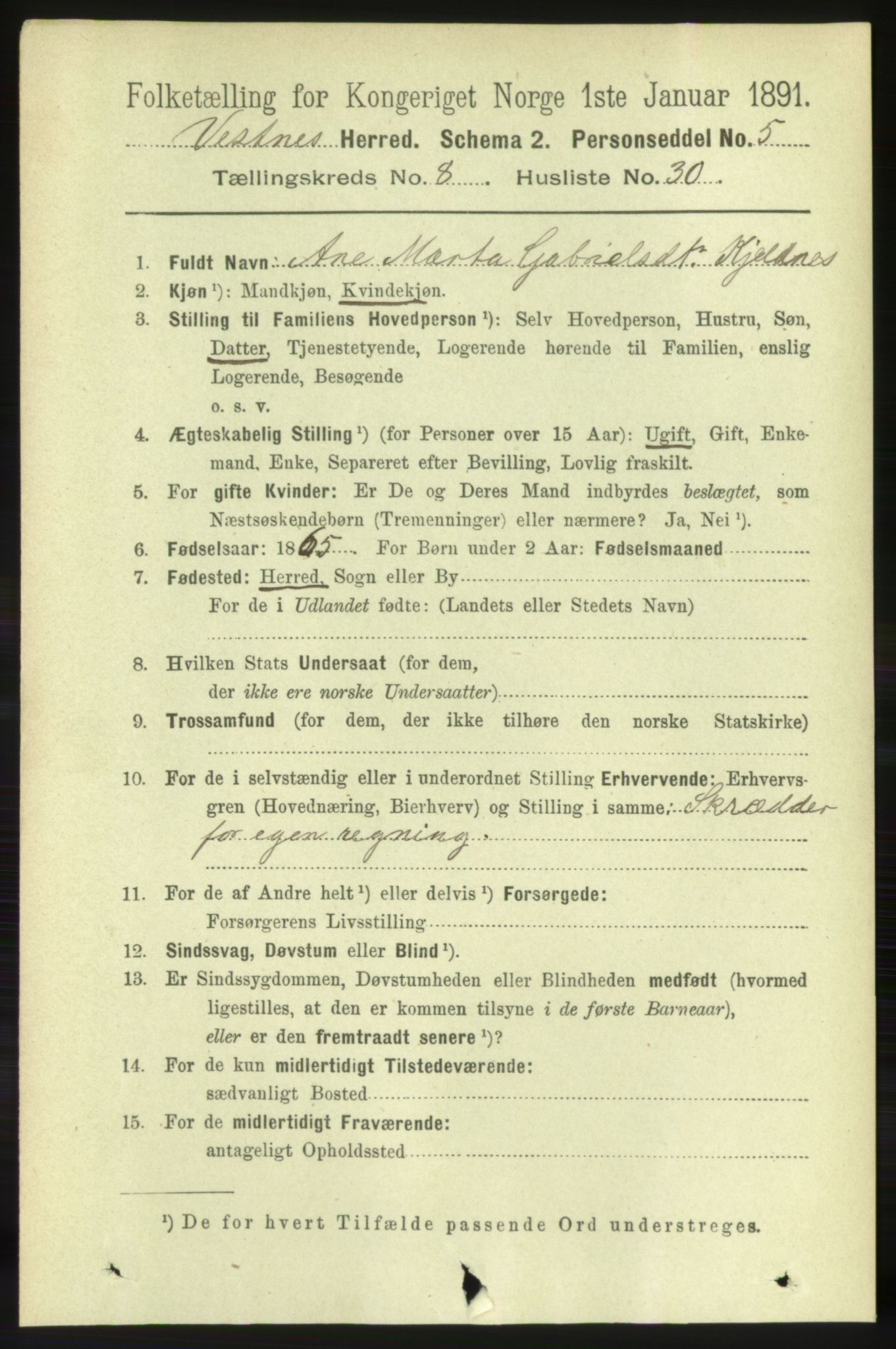 RA, 1891 census for 1535 Vestnes, 1891, p. 3317